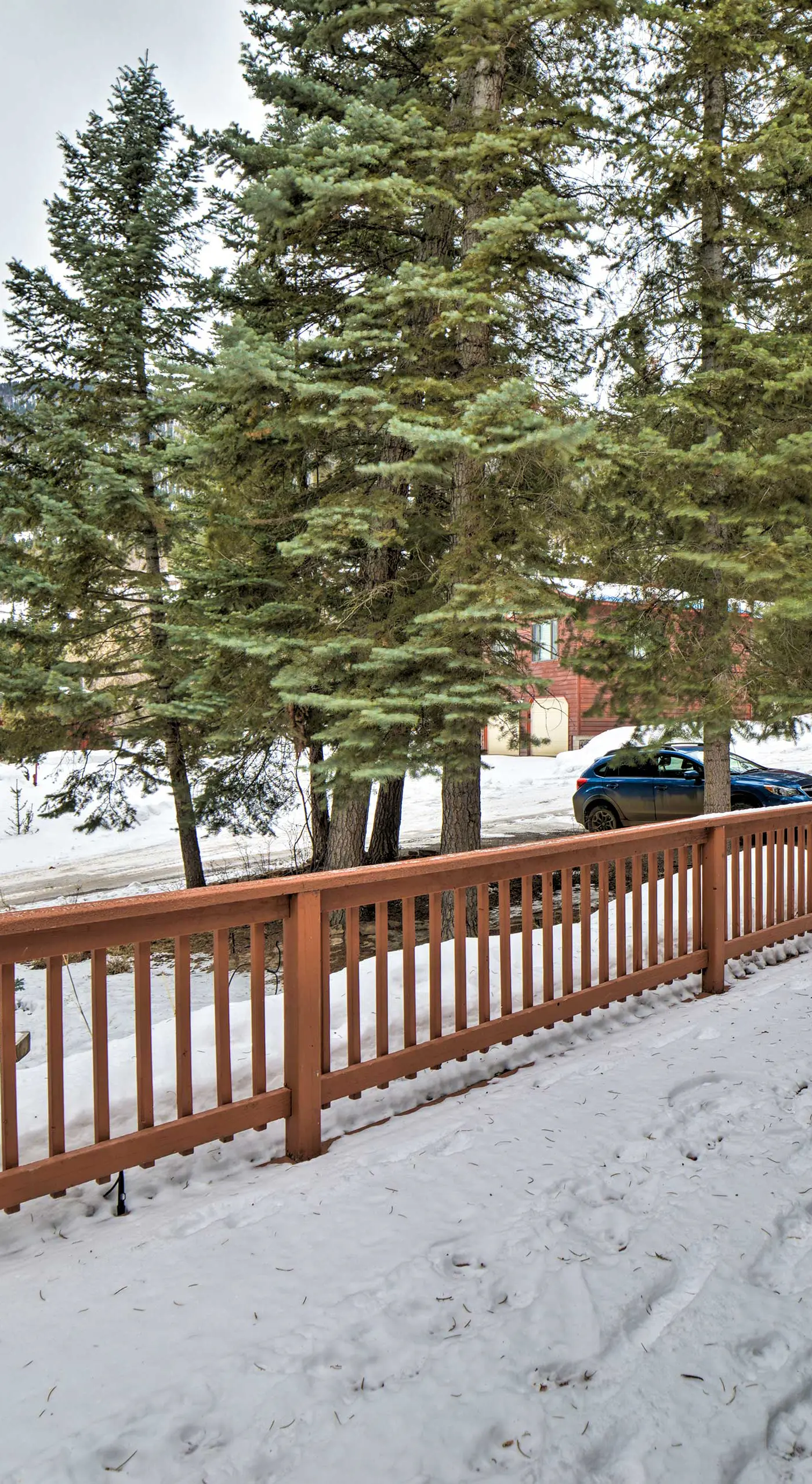 Cozy Home w/ Mountain Views Near Ouray Hot Springs