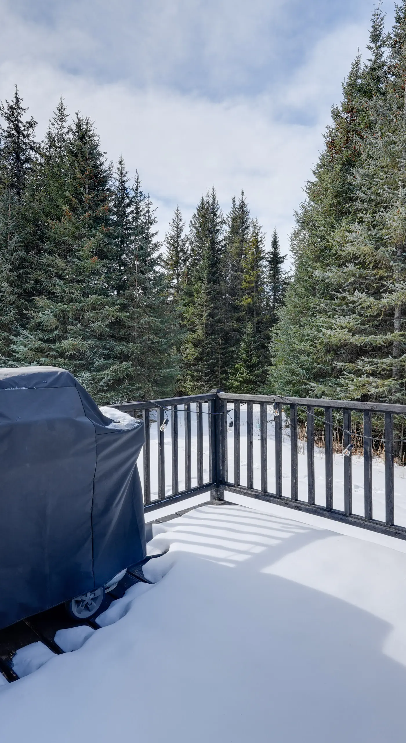 Bring Your Pets! Secluded Homer Escape w/ Deck