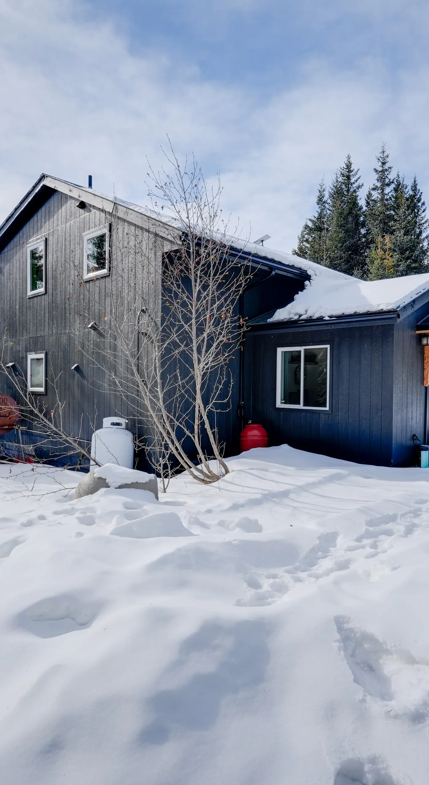 Bring Your Pets! Secluded Homer Escape w/ Deck