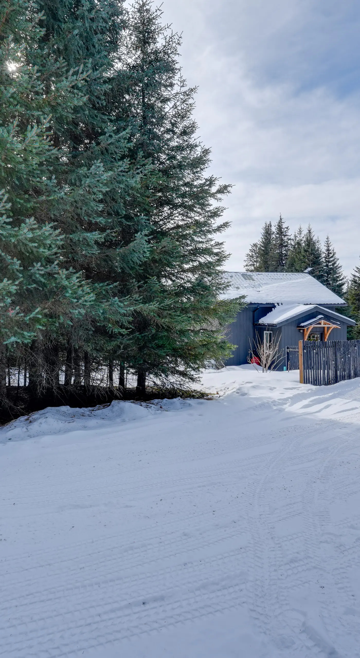 Bring Your Pets! Secluded Homer Escape w/ Deck