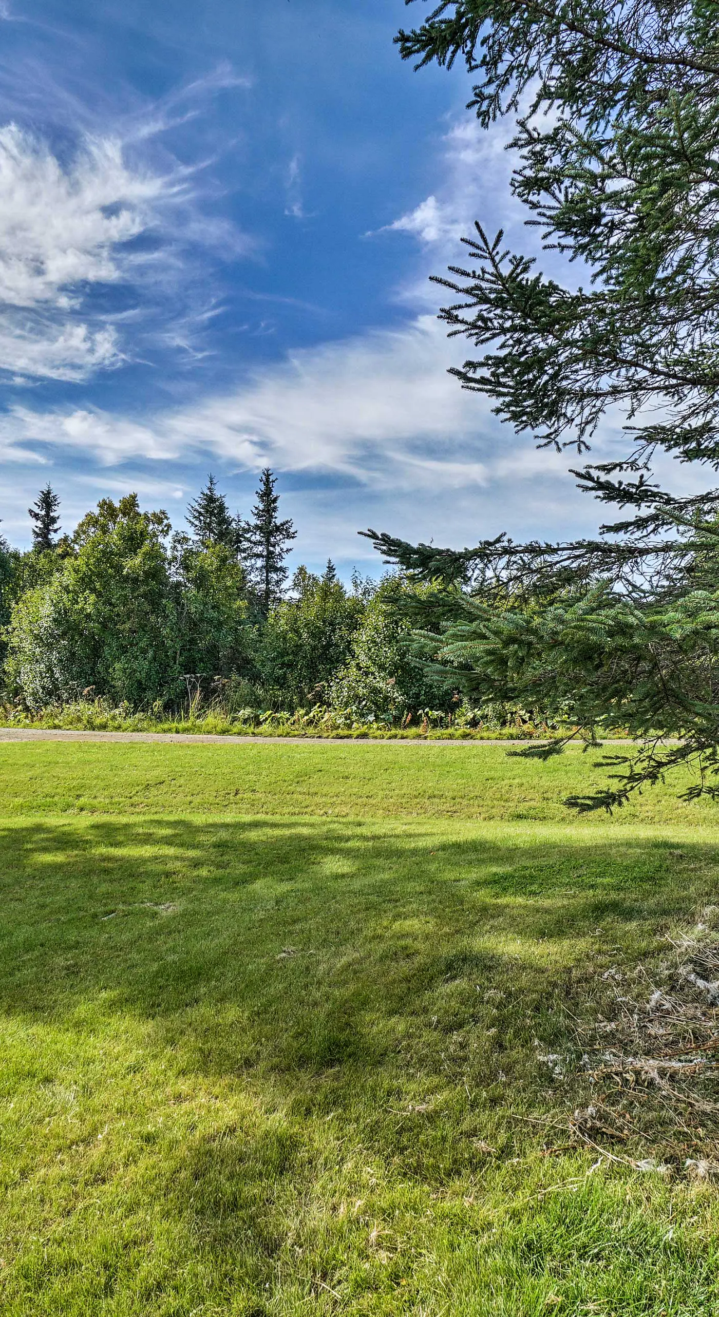 Homer Hideaway on Fritz ‘Creekside’ - Pets Welcome
