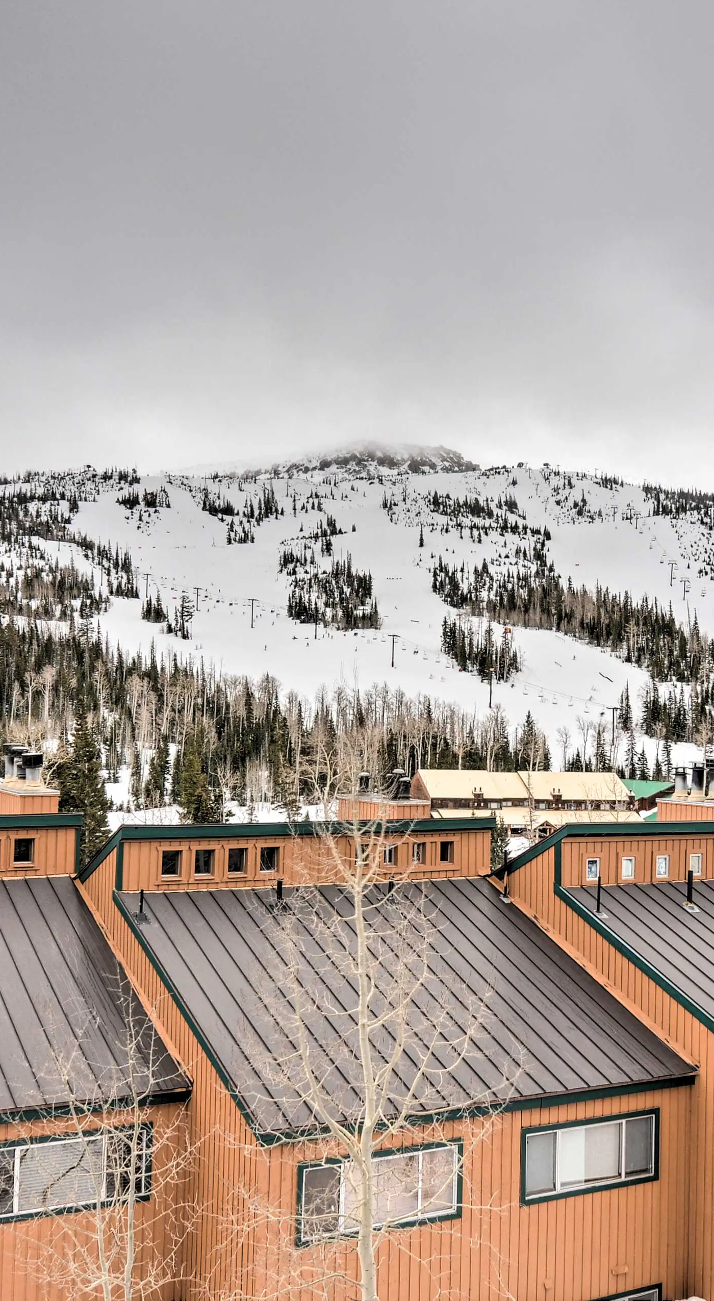 Townhome w/ Mtn View - Walk to Brian Head Lifts!