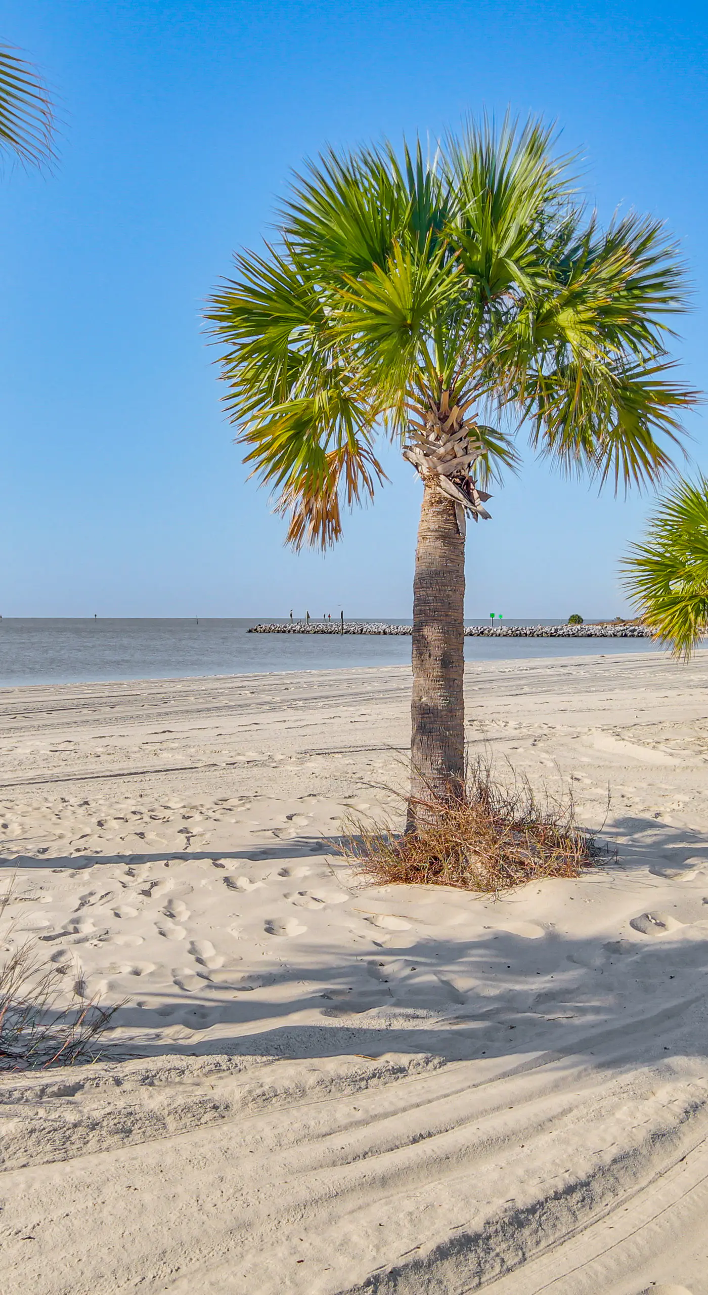 Beachfront Condo w/ Pool Access in Biloxi!