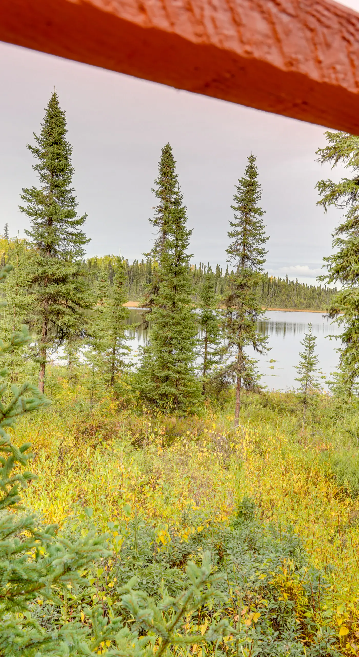 Fish, Hike & Explore: Lakefront Cabin in Soldotna
