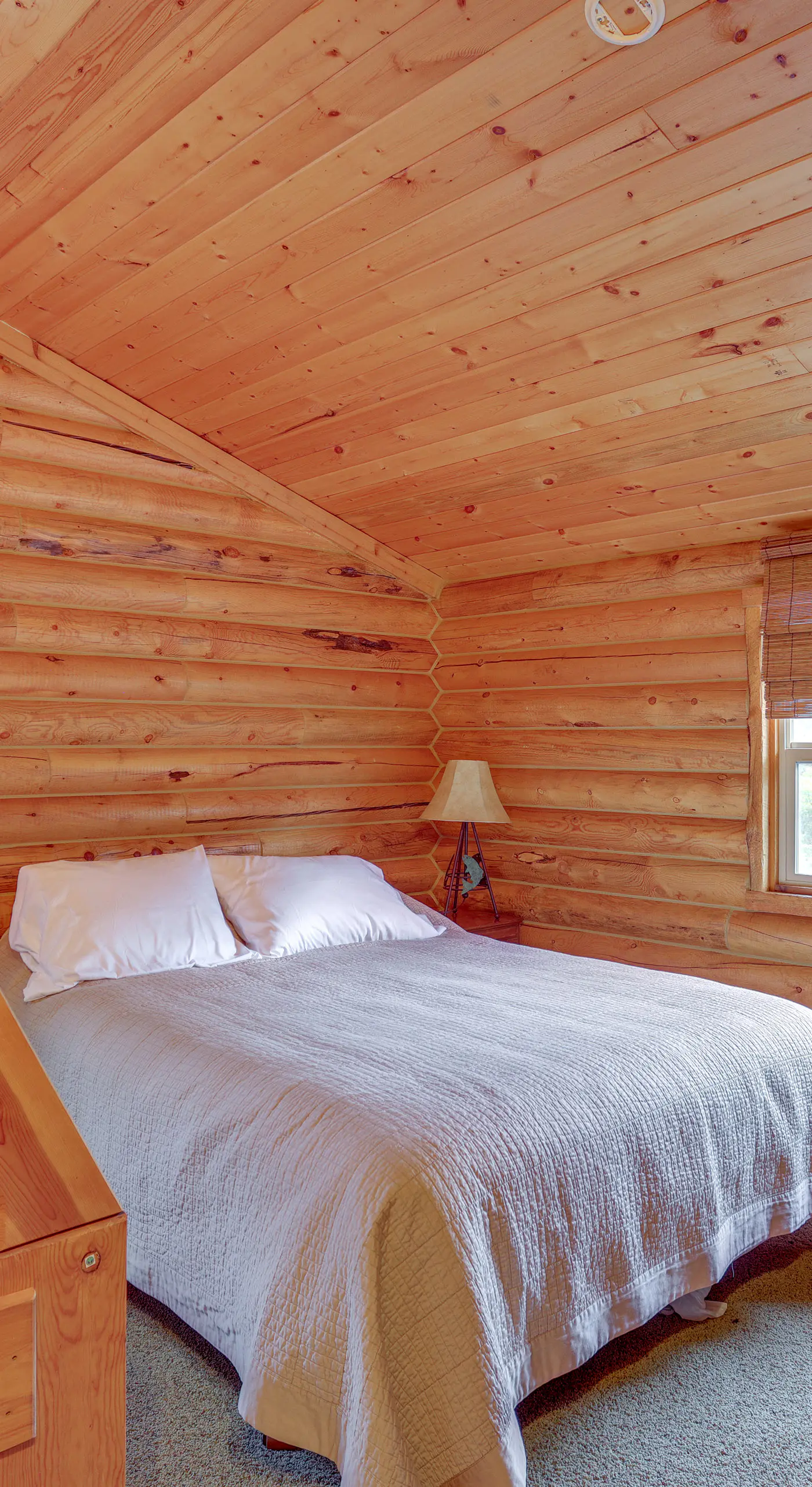 ATV & Hike: Off-Grid Cabin in Utah's Wilderness!