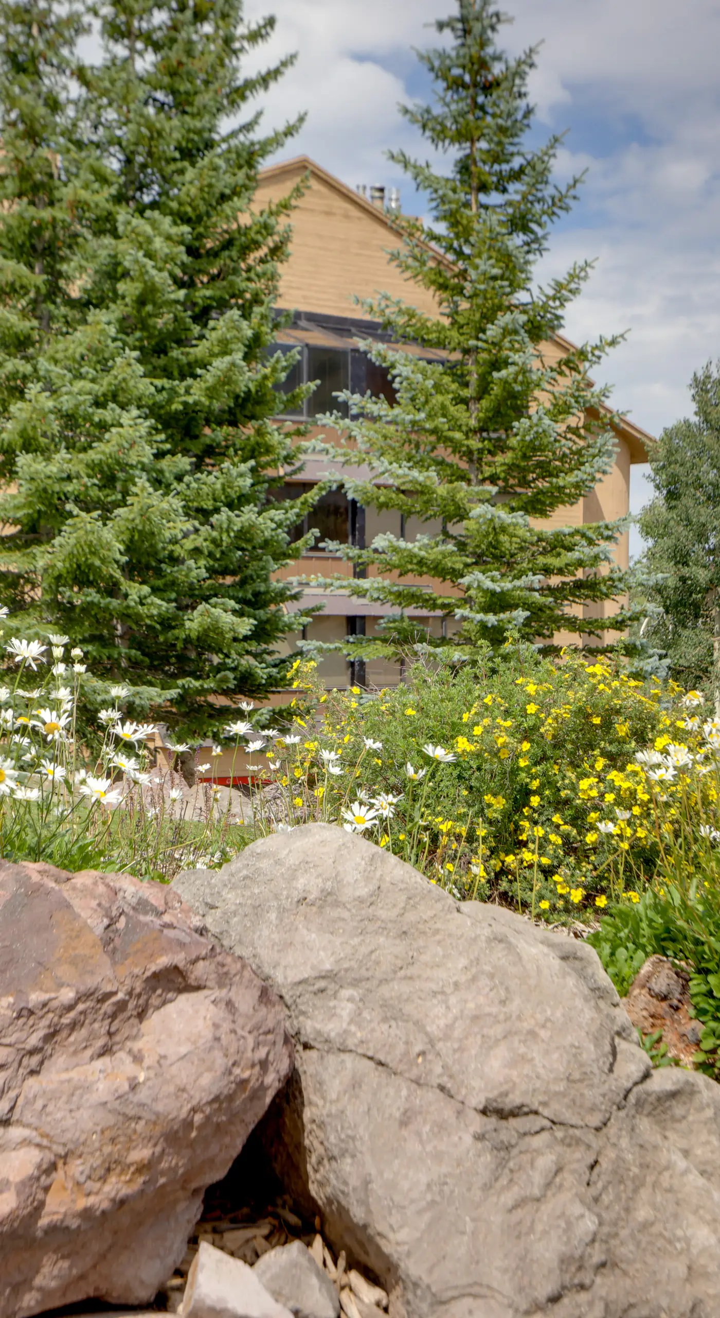 Ski-In/Ski-Out Brian Head Condo w/ Pool Access!