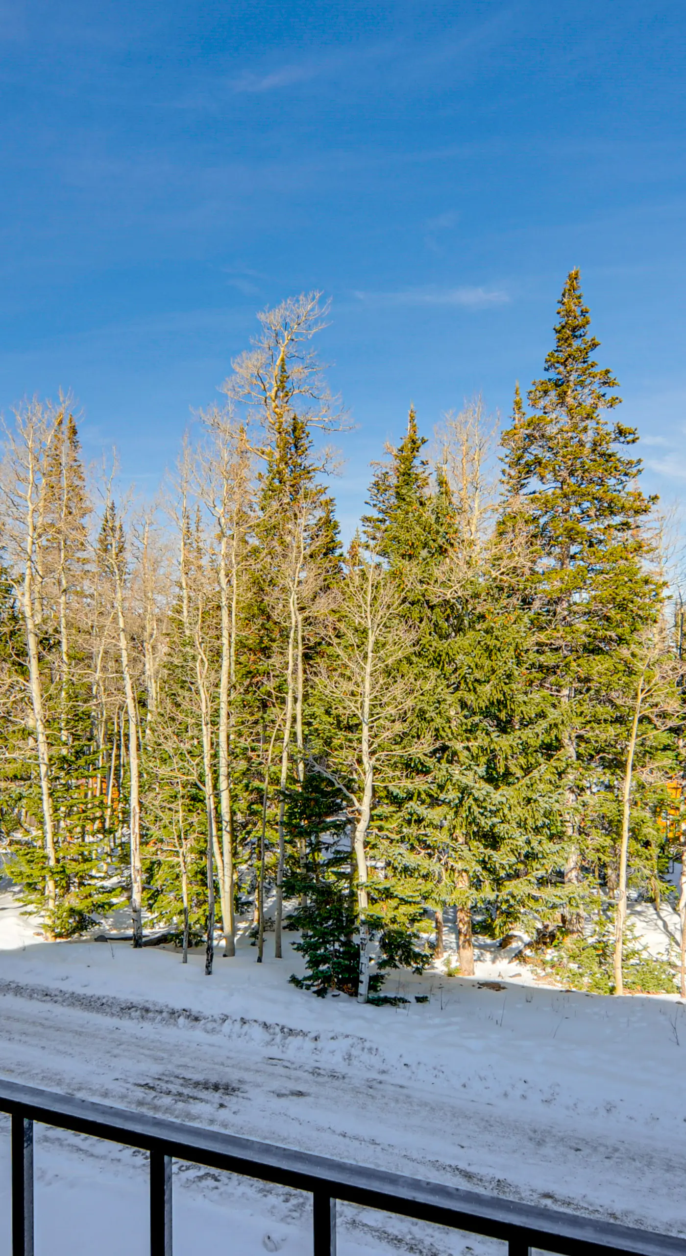 Romantic Ski Haven w/ Balcony: Brian Head Studio