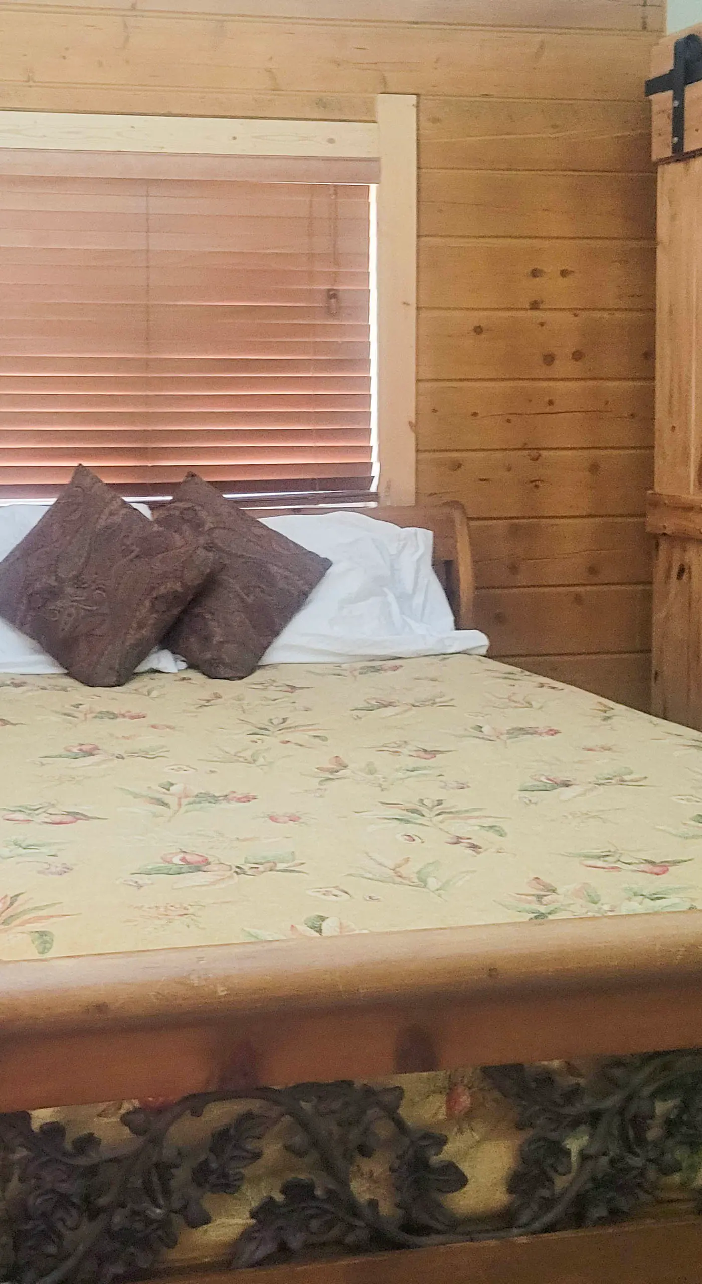 Deck & Dry Sauna! Fairplay 'High Creek Hideaway'