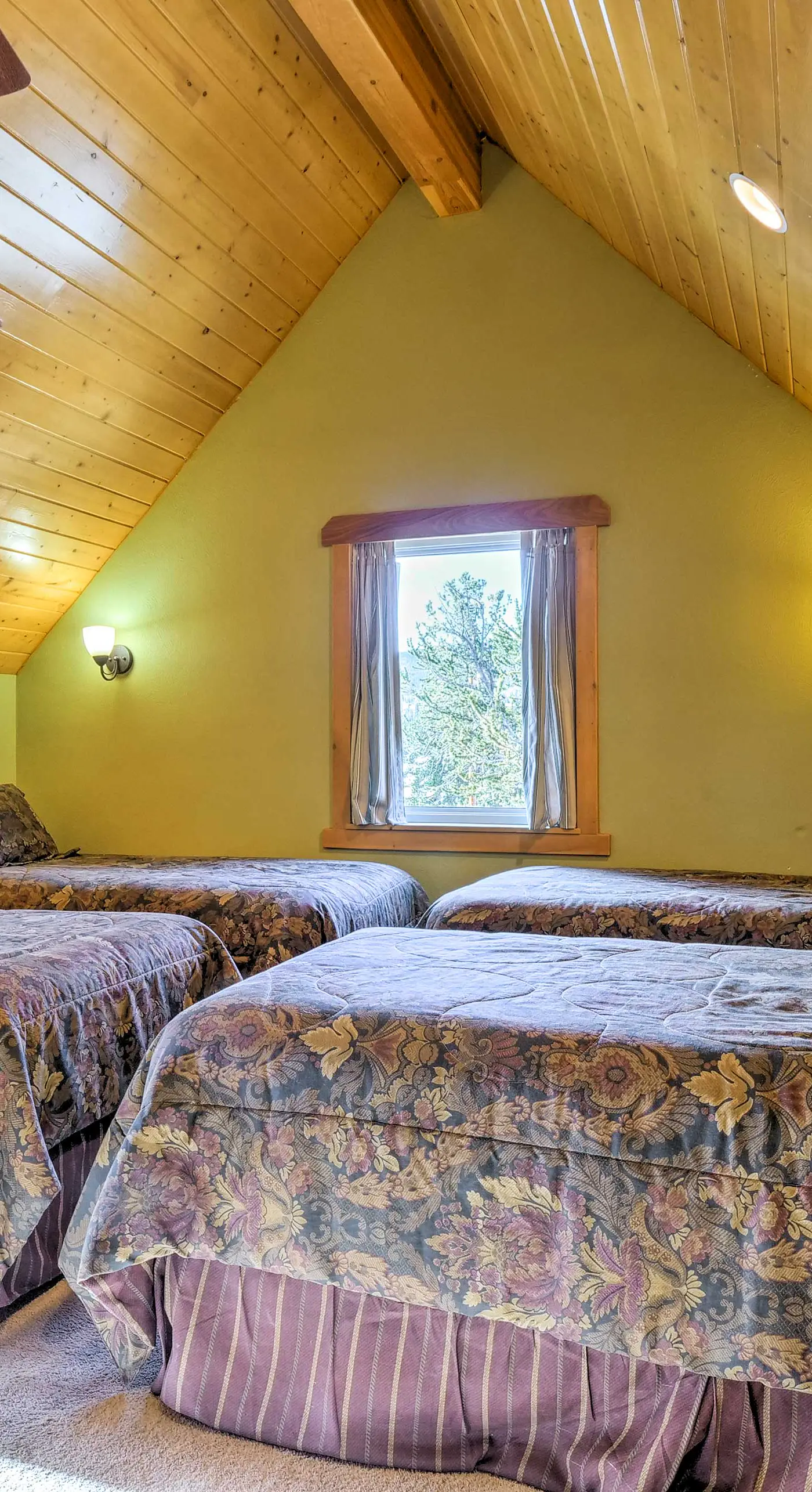 Deck & Dry Sauna! Fairplay 'High Creek Hideaway'