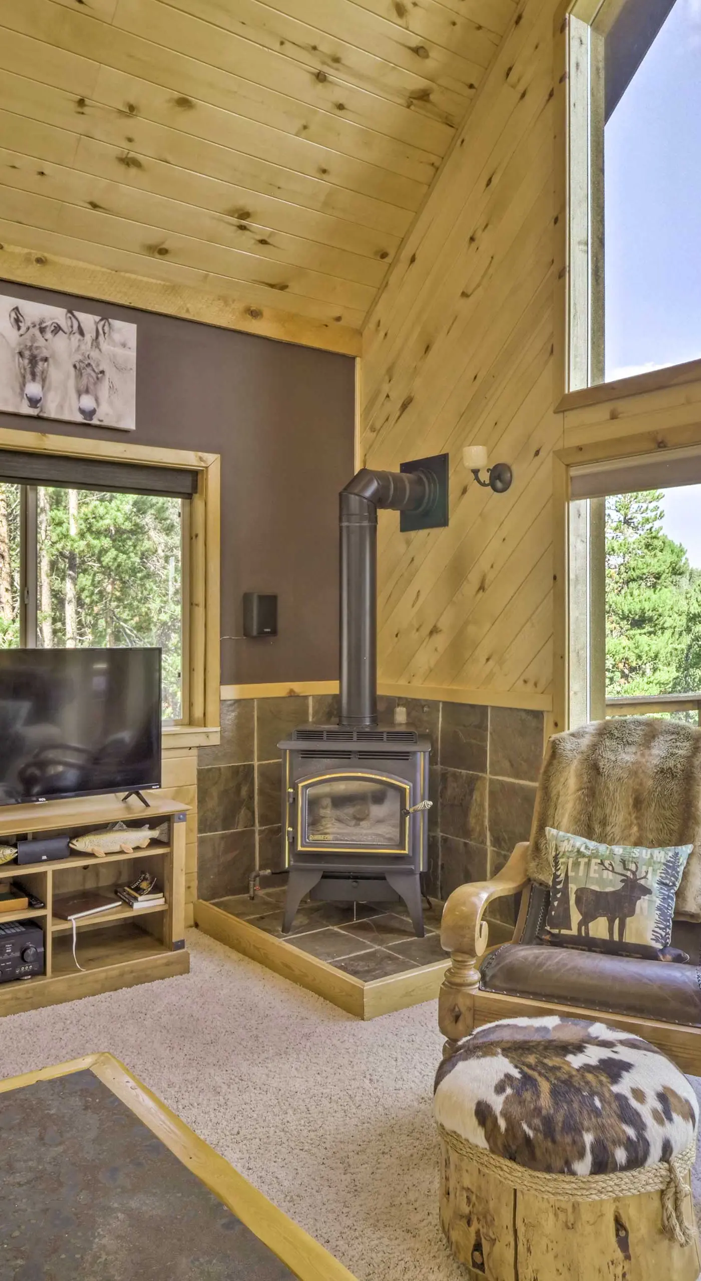 Secluded Fairplay Home w/ Hot Tub & Mountain Views