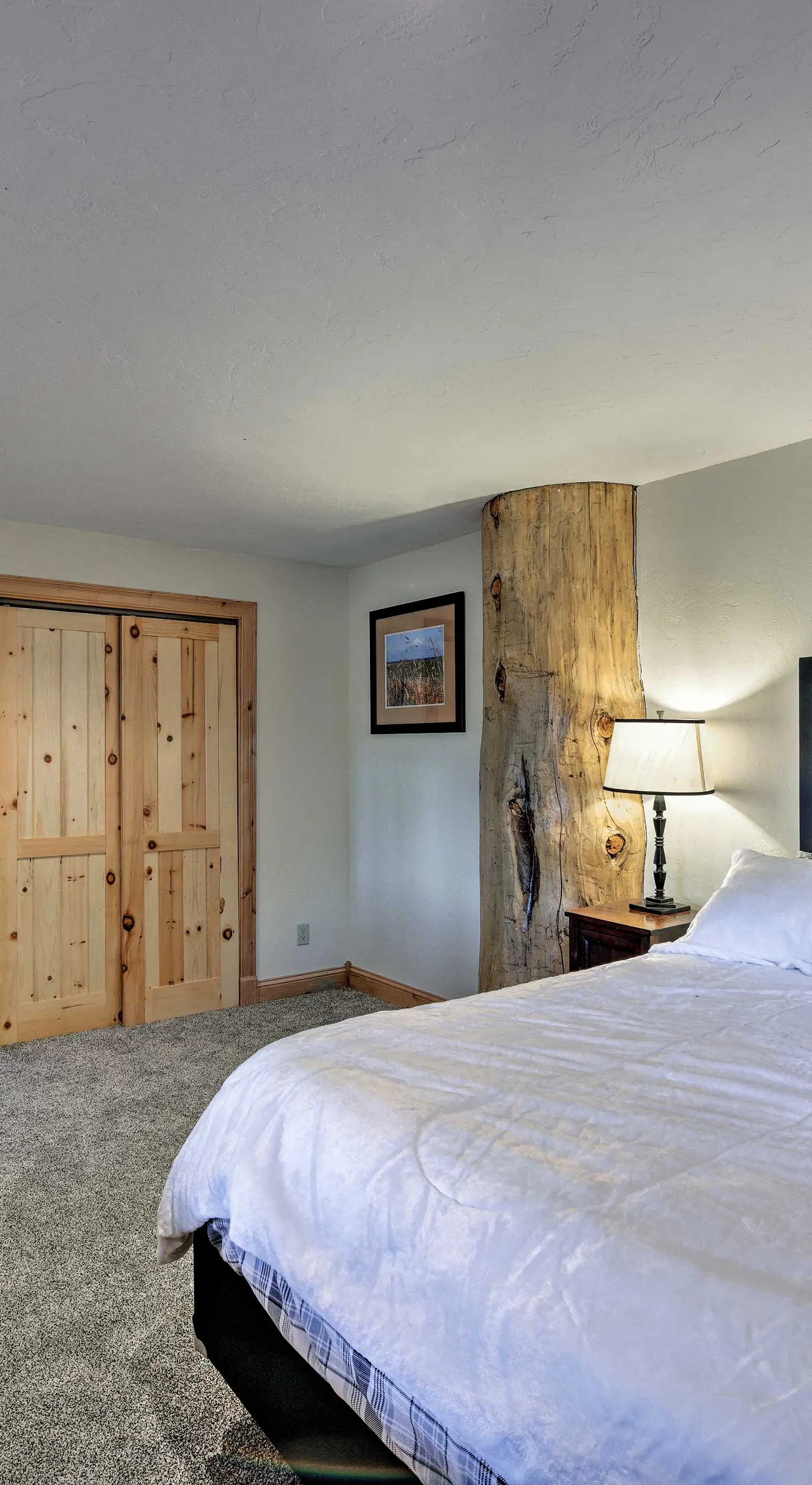22STR-00019 Fairplay High Country Lodge w/ Hot Tub