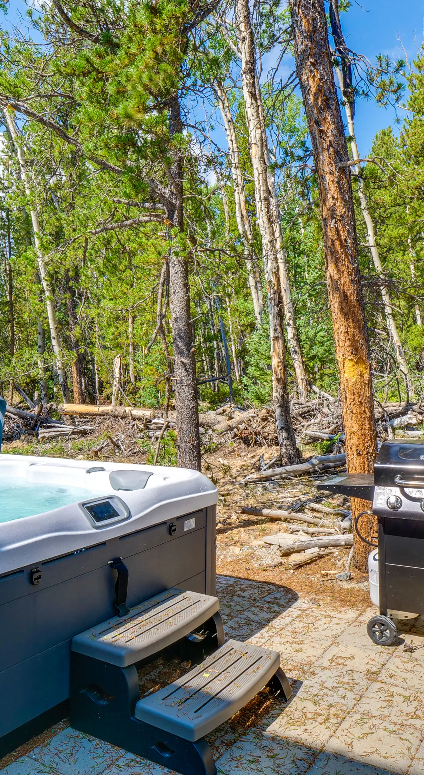 3 Mi to Fairplay Beach: Mountain Getaway