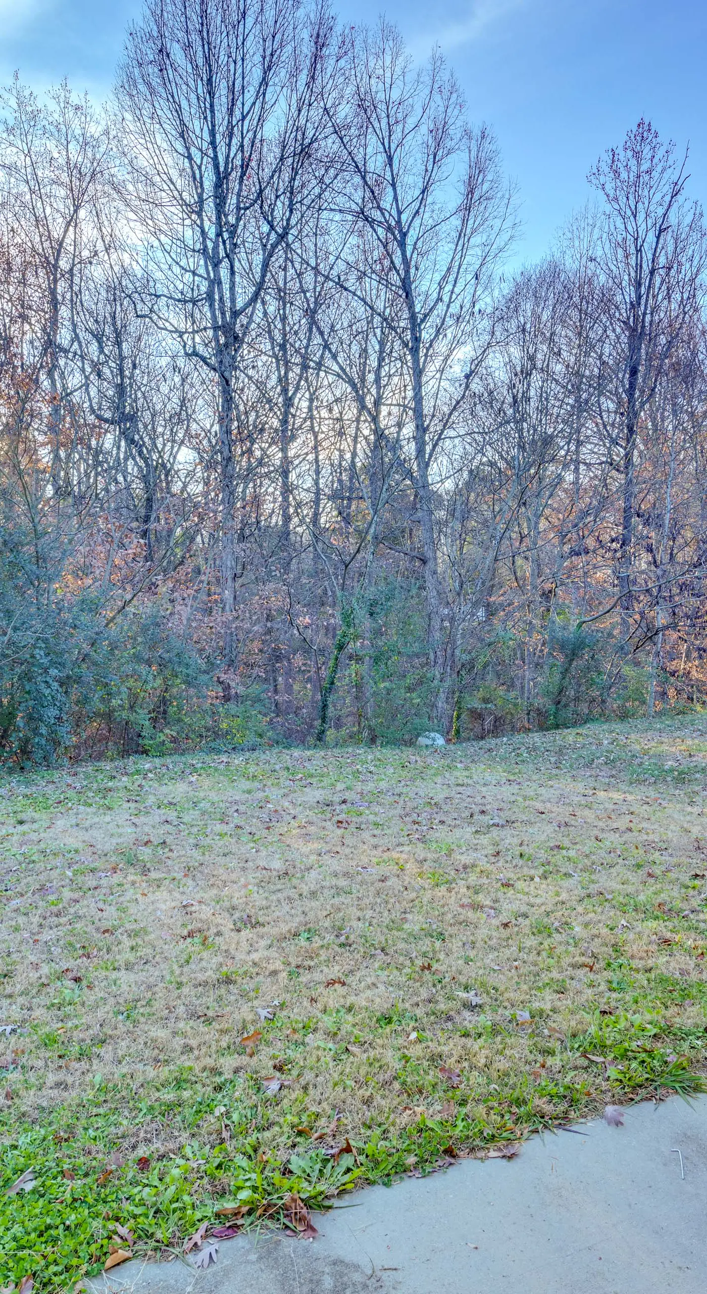 Pet-Friendly Home Just Outside Downtown Charlotte!