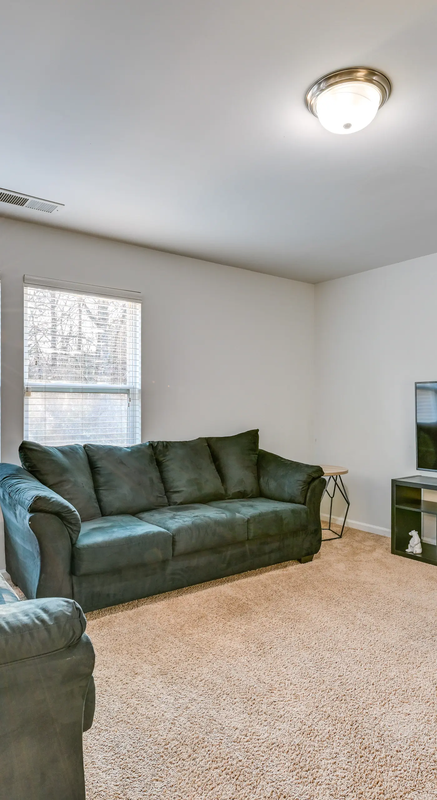 Pet-Friendly Home Just Outside Downtown Charlotte!