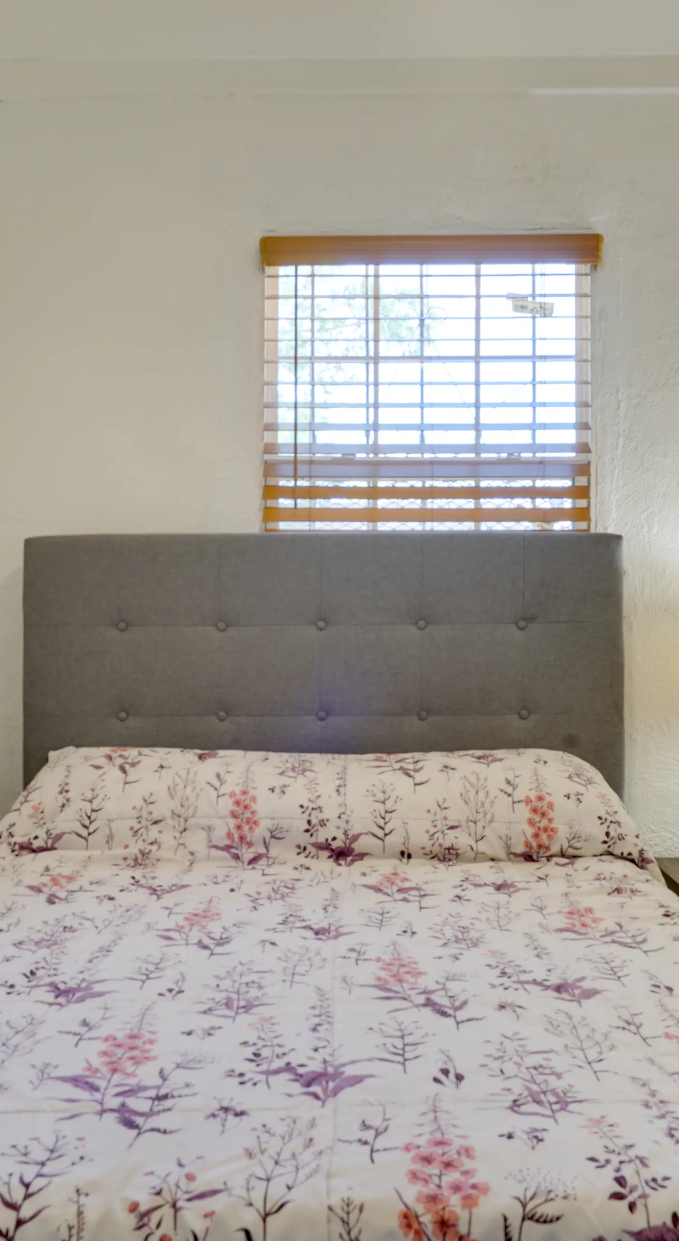 Pet-Friendly El Paso Apt by Hospital & Zoo