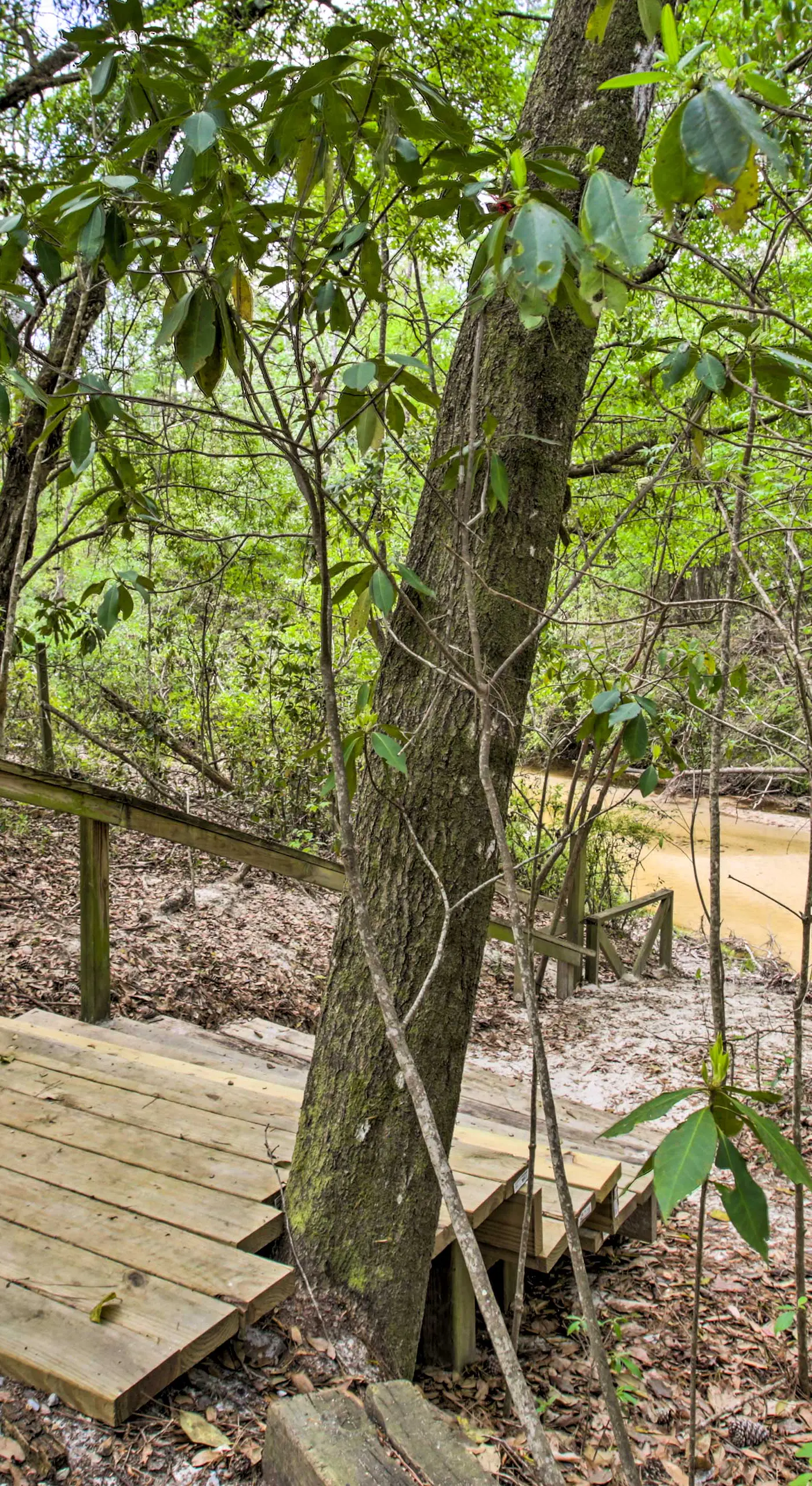 Enchanting 'Whitney Cabin' w/ Beach & Creek!