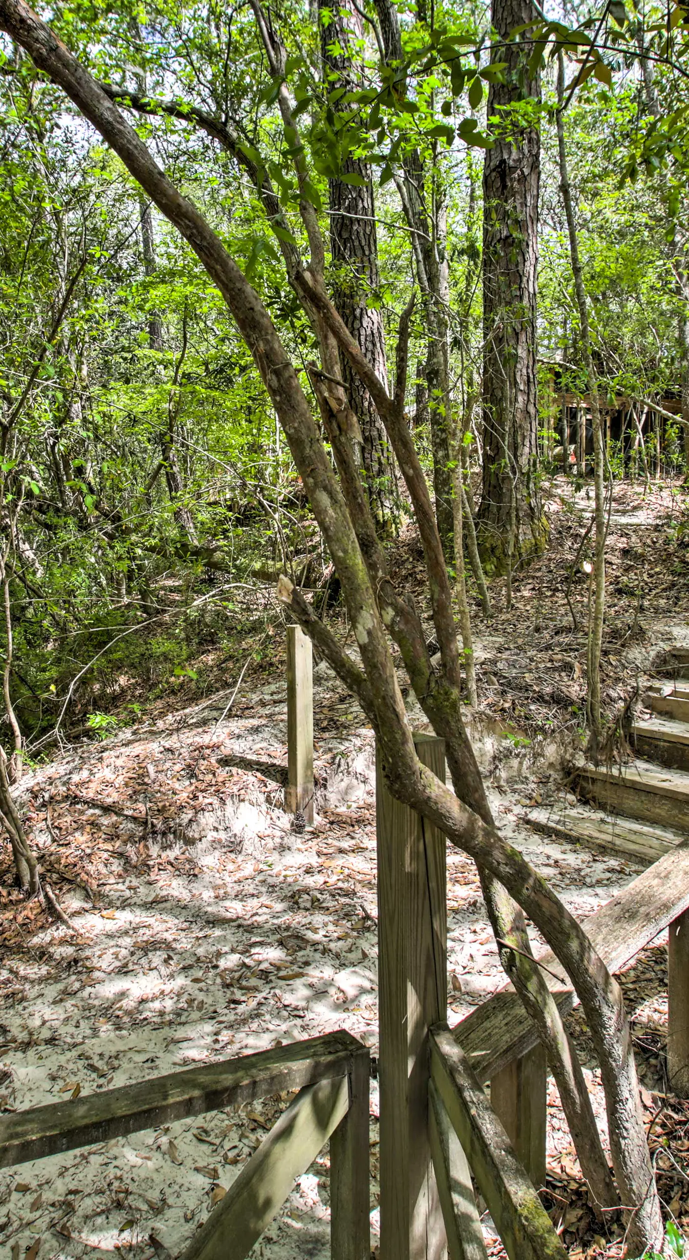 Enchanting 'Whitney Cabin' w/ Beach & Creek!