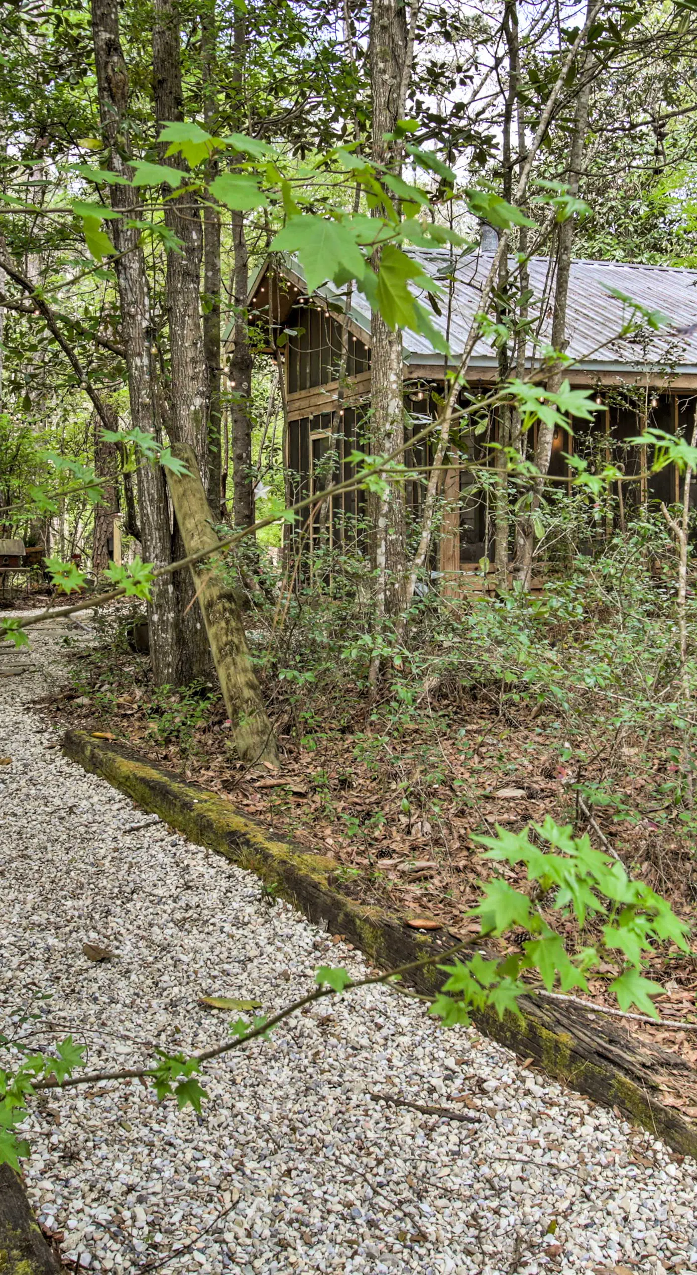 Enchanting 'Whitney Cabin' w/ Beach & Creek!