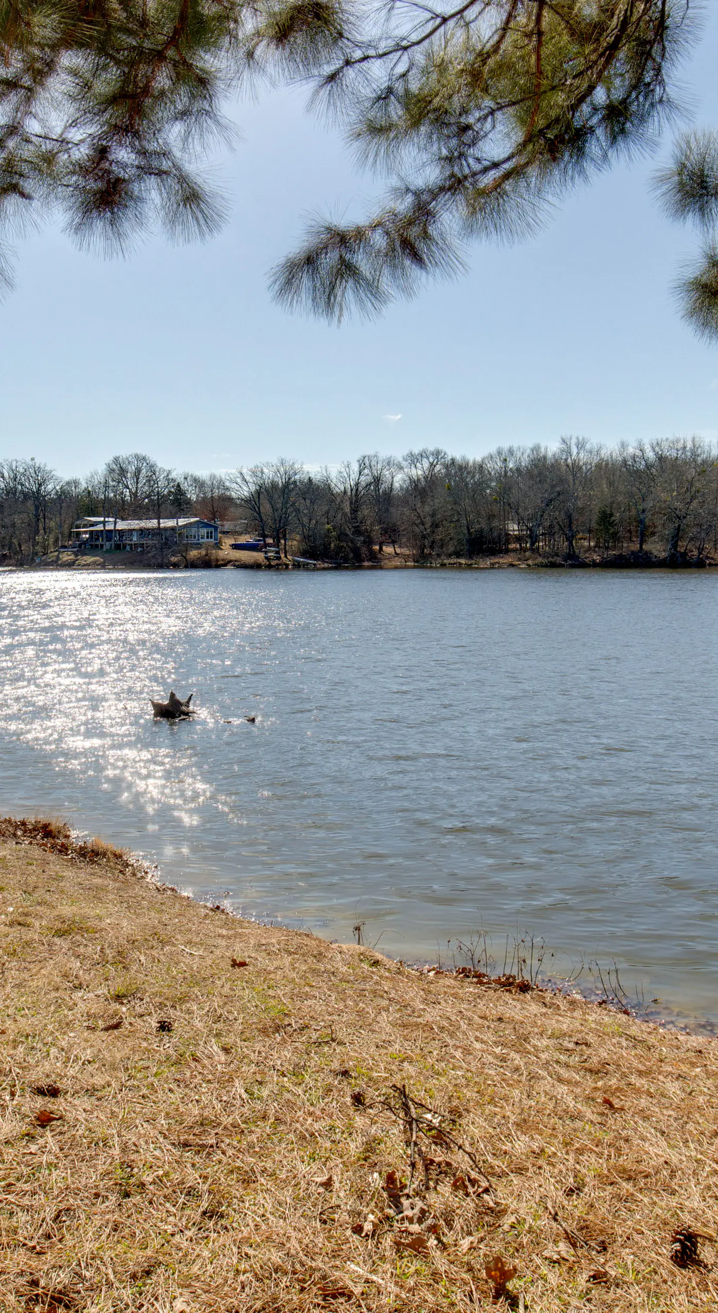 < 1 Mi to Lake Fork: ‘Appy Haven’ in Yantis