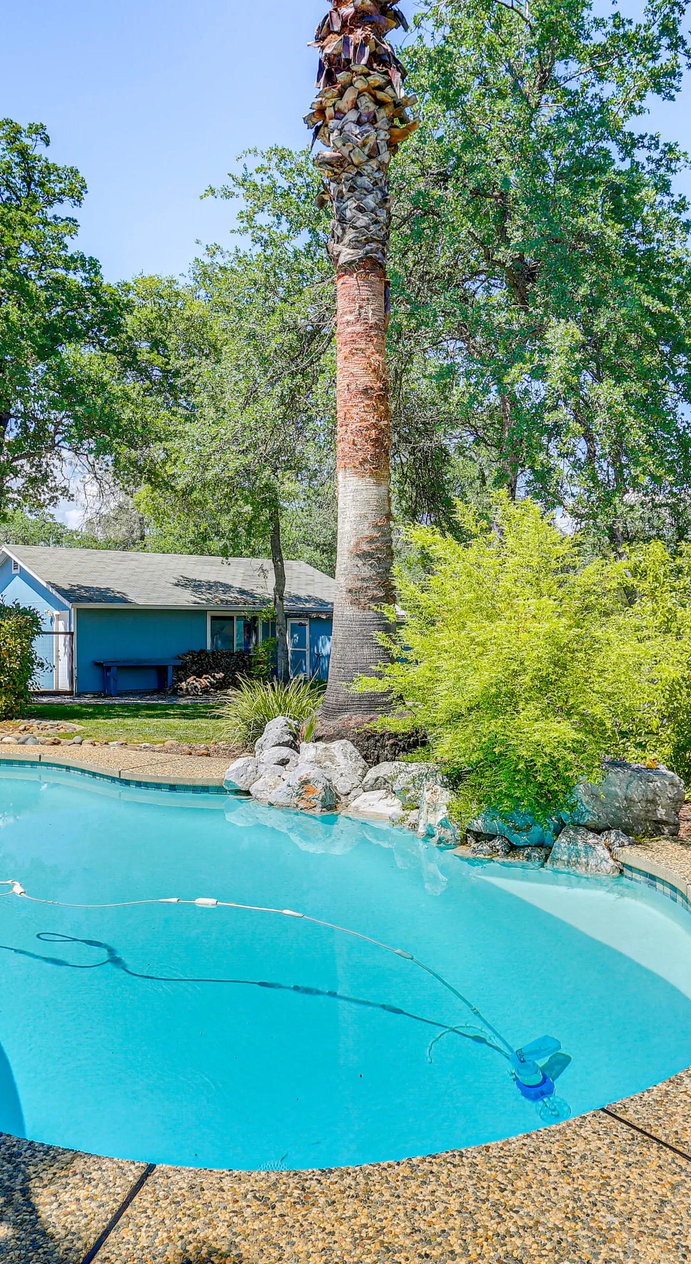 10 Mi to Redding: Serene Escape w/ Spacious Yard!