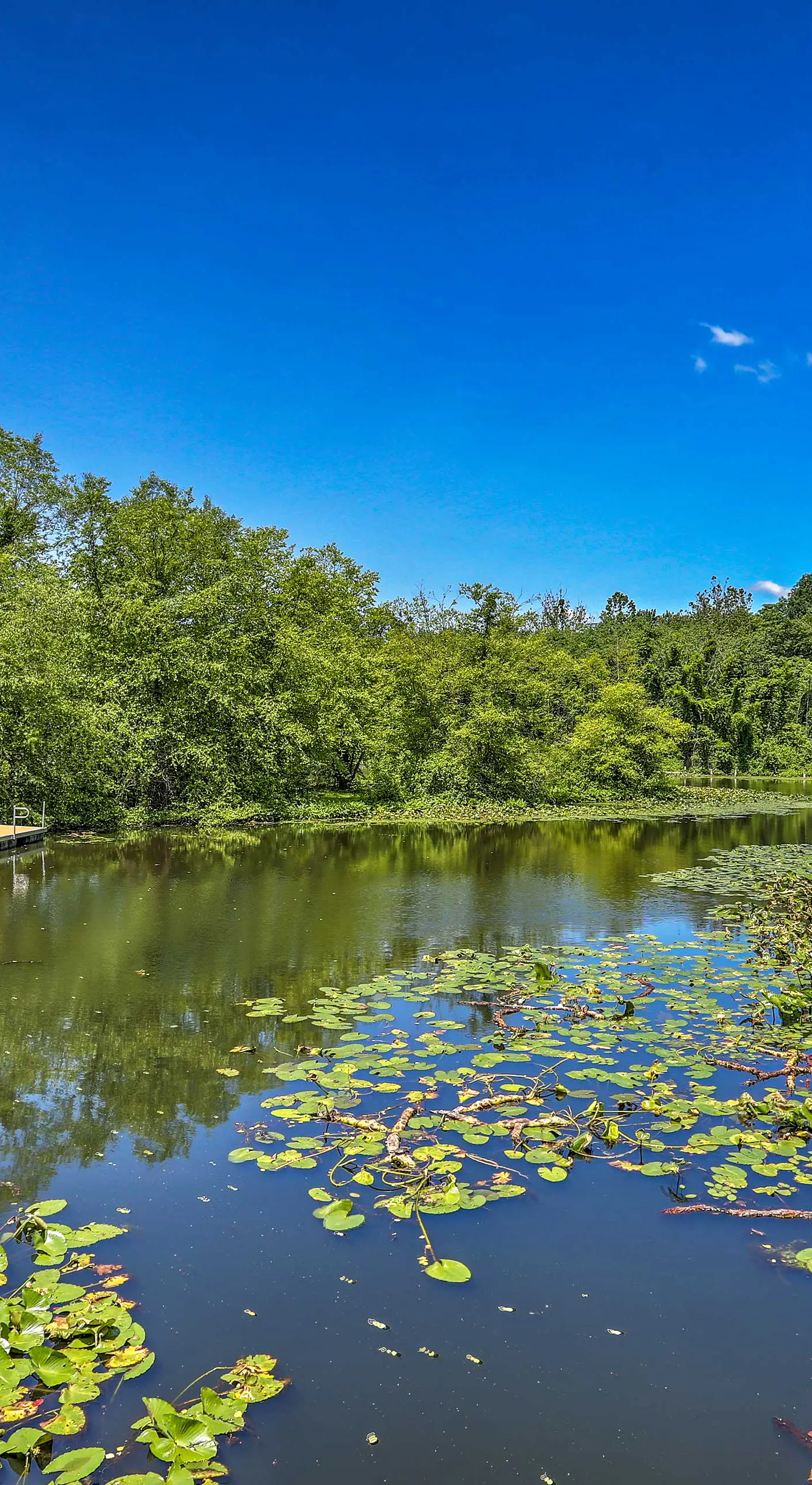 Mountain Creek Resort Home - Hot Tub & Pool Access