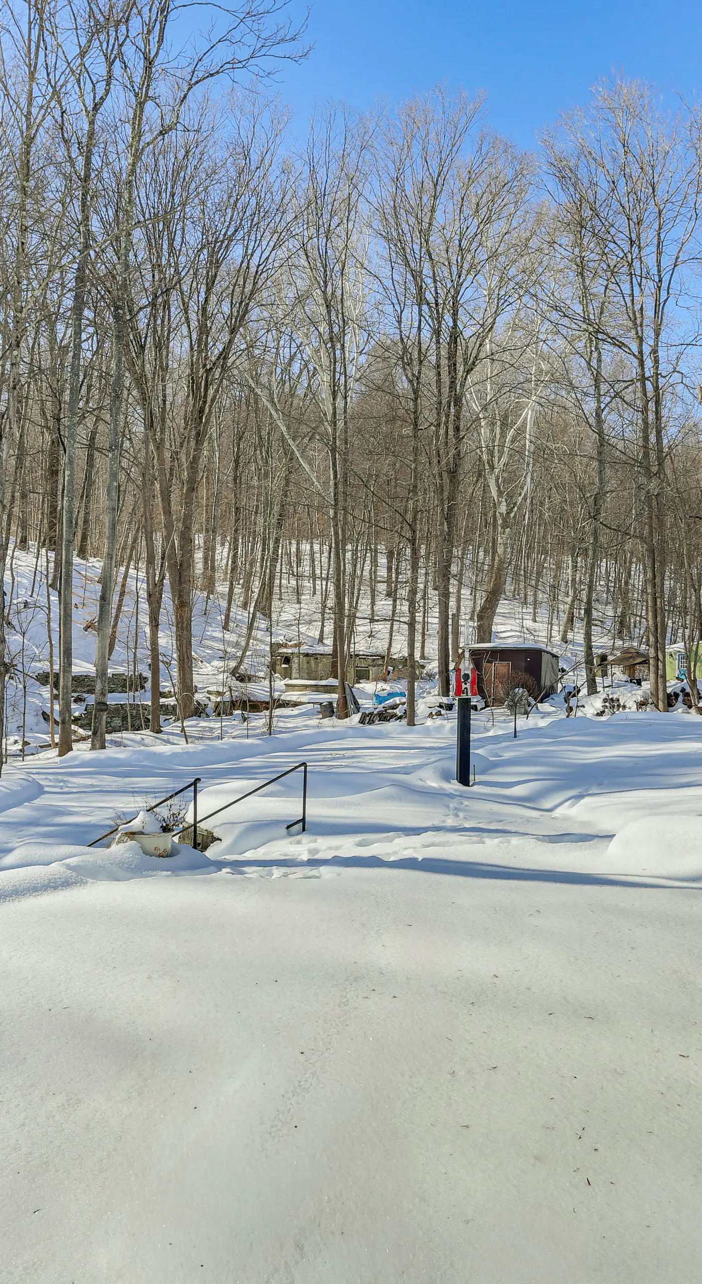 Extended Stay in Skylands! Pet-Friendly Retreat