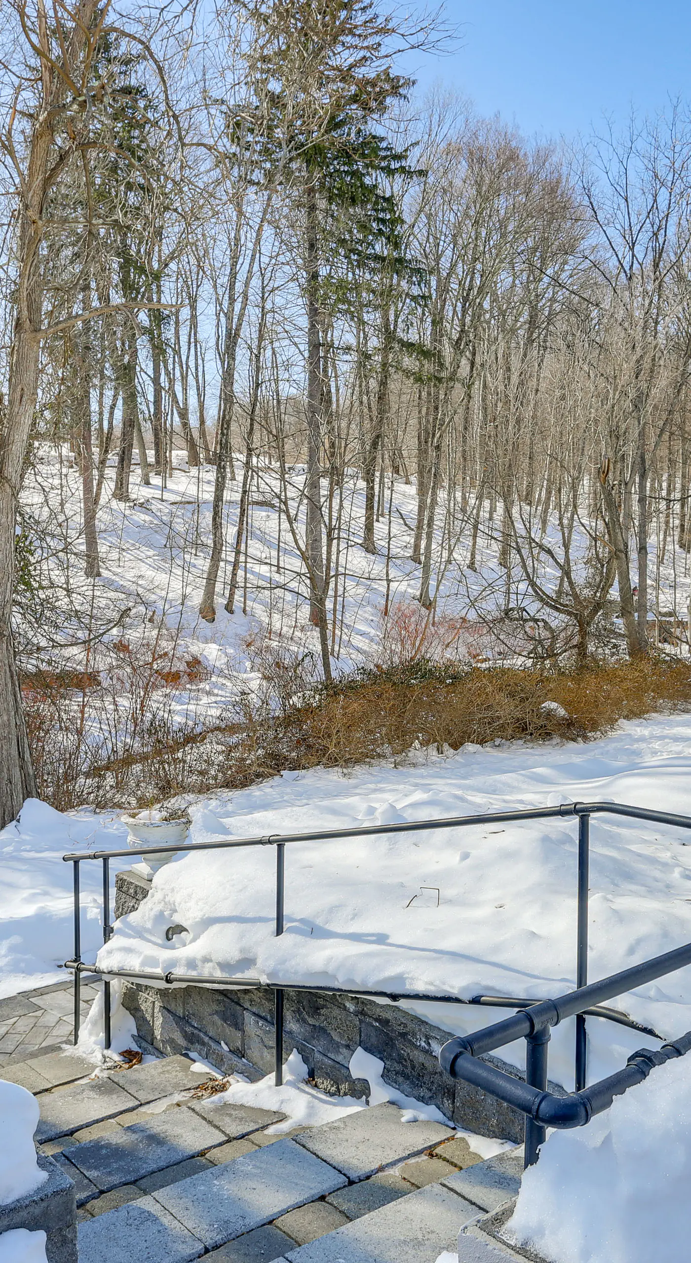 Extended Stay in Skylands! Pet-Friendly Retreat