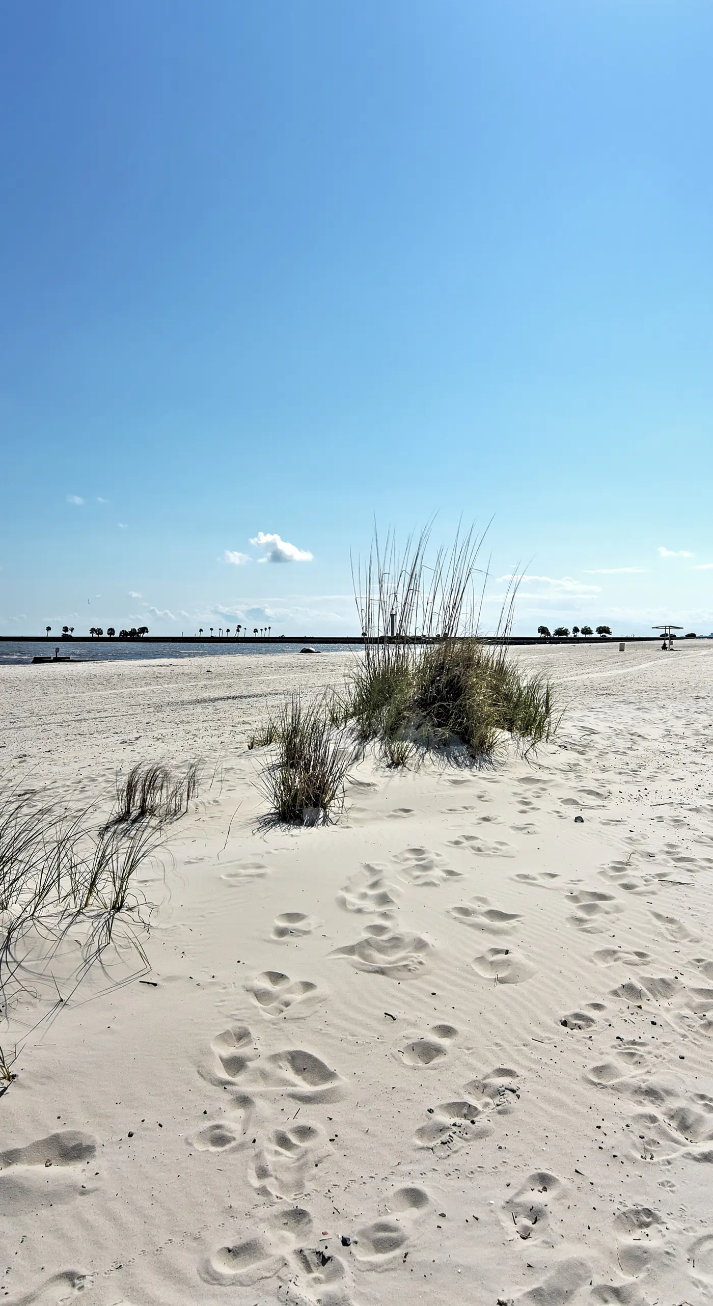 Beachside Biloxi Club Condo: Balcony w/ Ocean View
