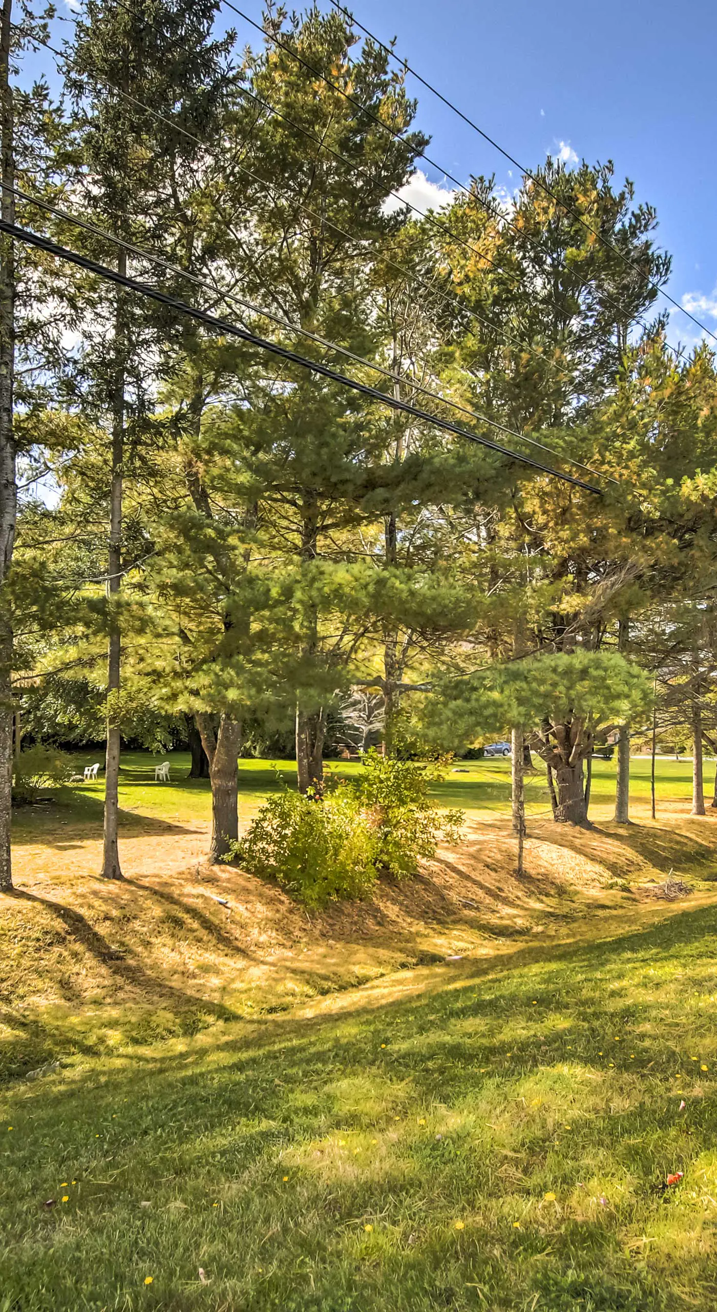Spacious Apt w/ Yard: 3 Mi to Windham Mountain