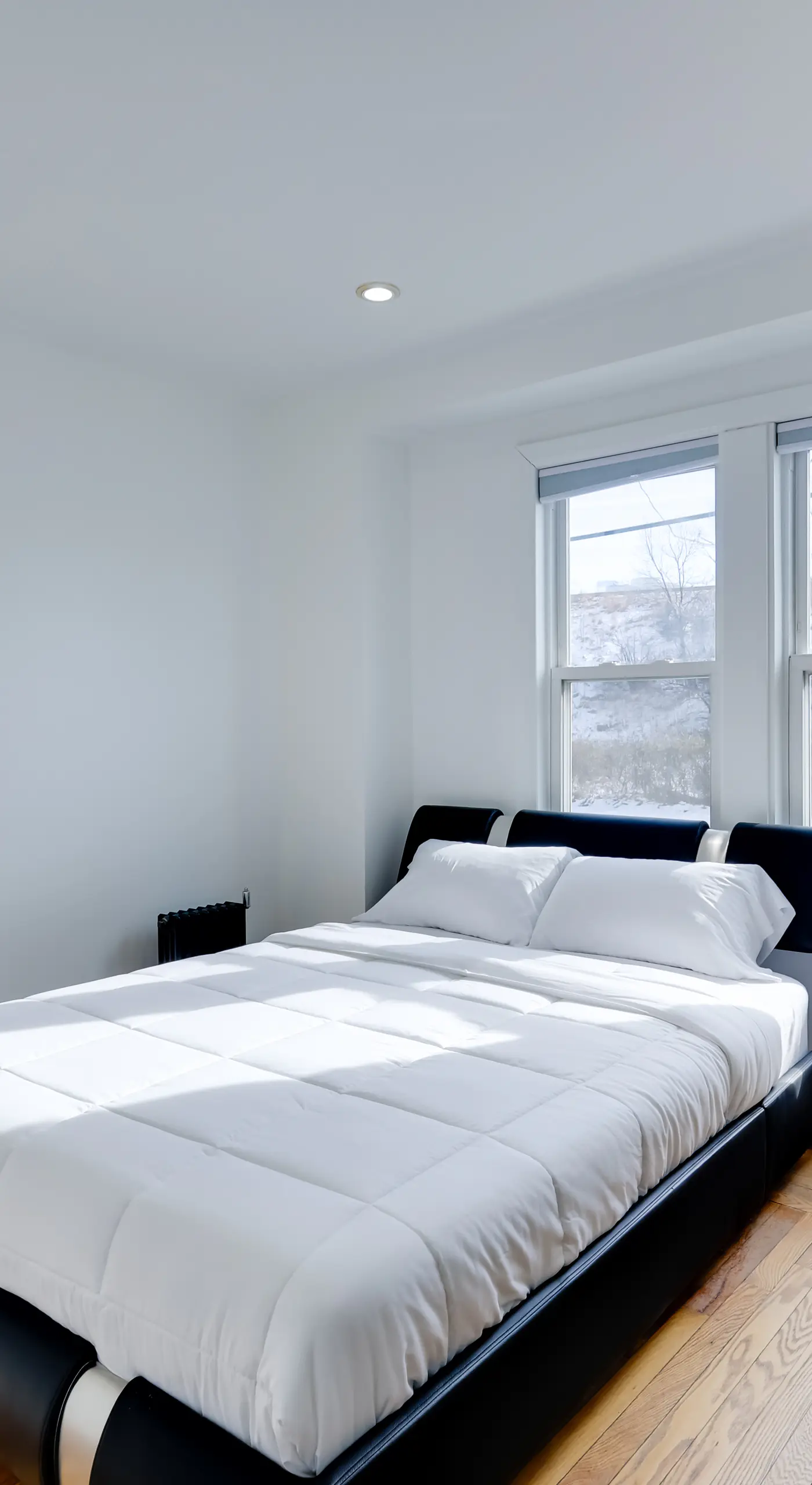 Walk to Roger Williams Park: Apt in Providence!