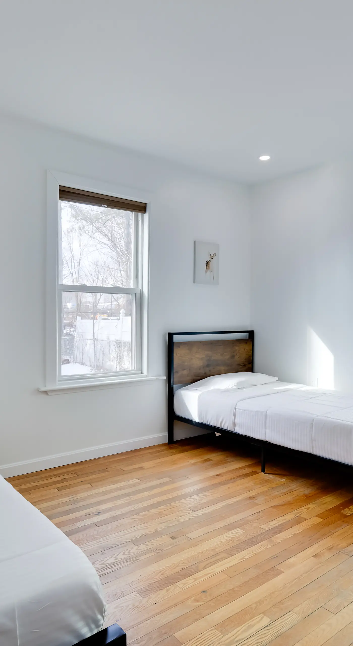 Walk to Roger Williams Park: Apt in Providence!
