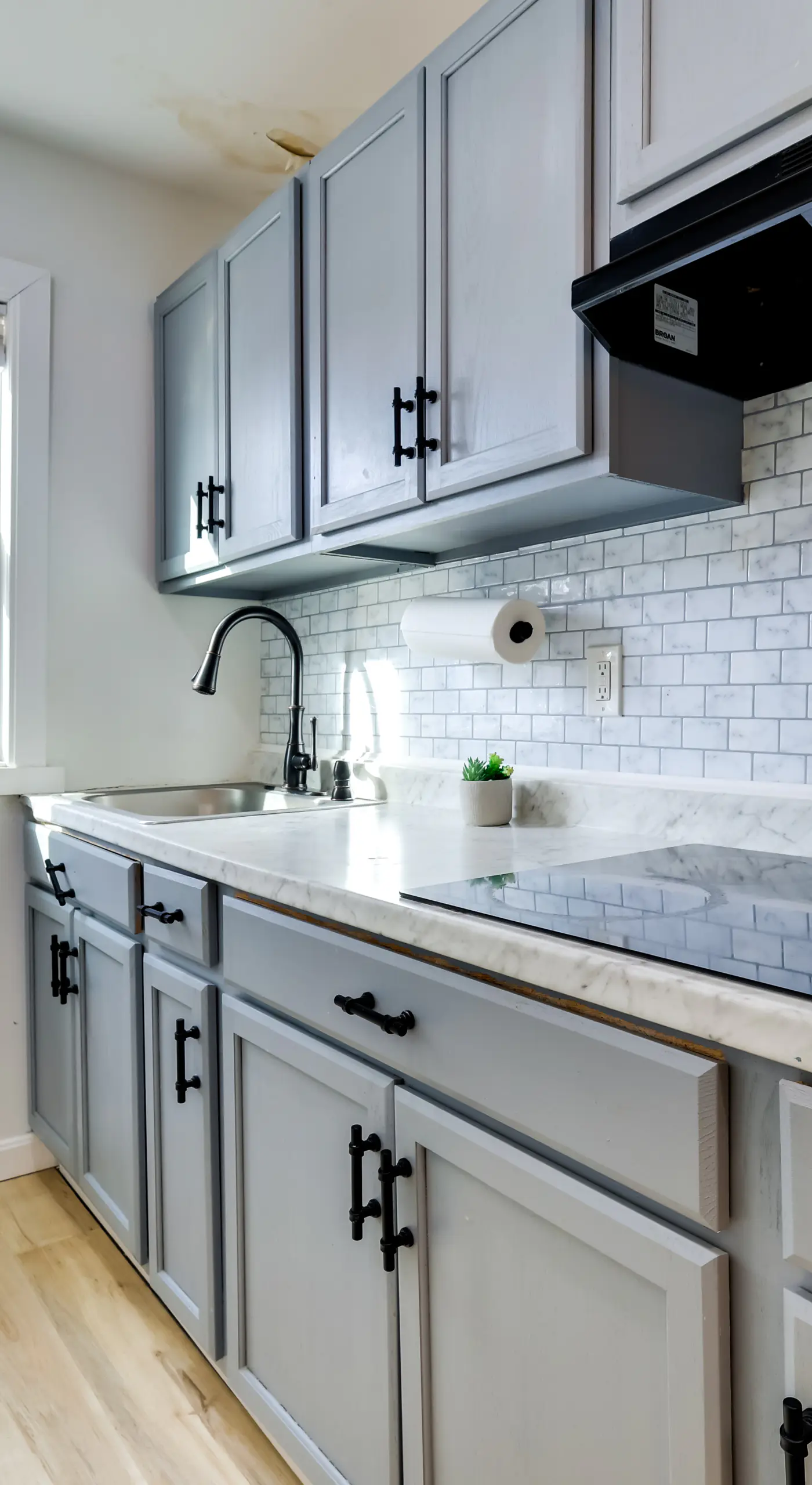 Walk to Roger Williams Park: Apt in Providence!