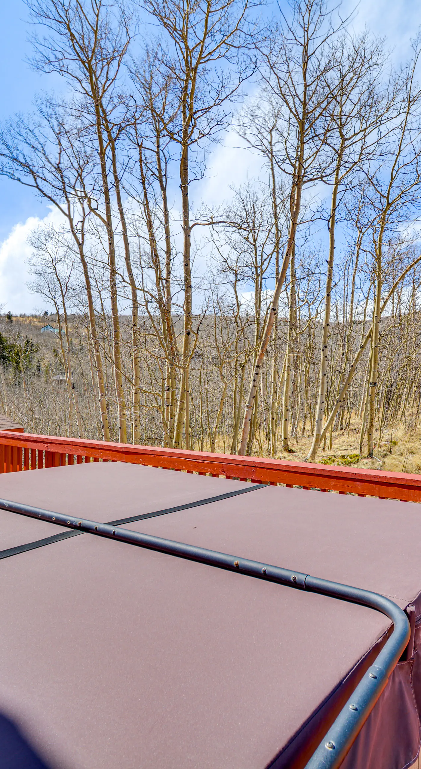 Fairplay Cabin w/ Mtn View ~ 4 Mi to Platte River!