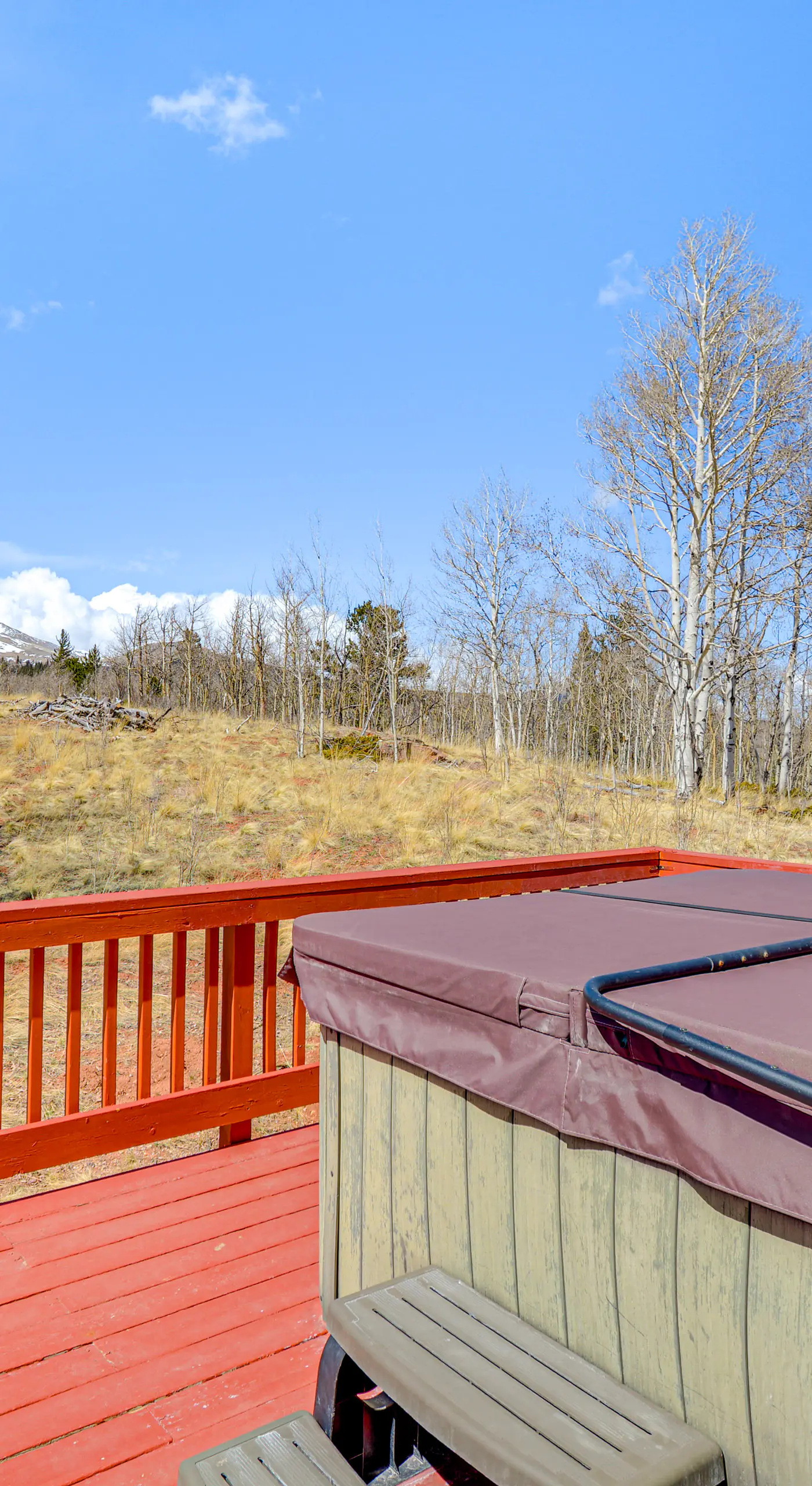 Fairplay Cabin w/ Mtn View ~ 4 Mi to Platte River!