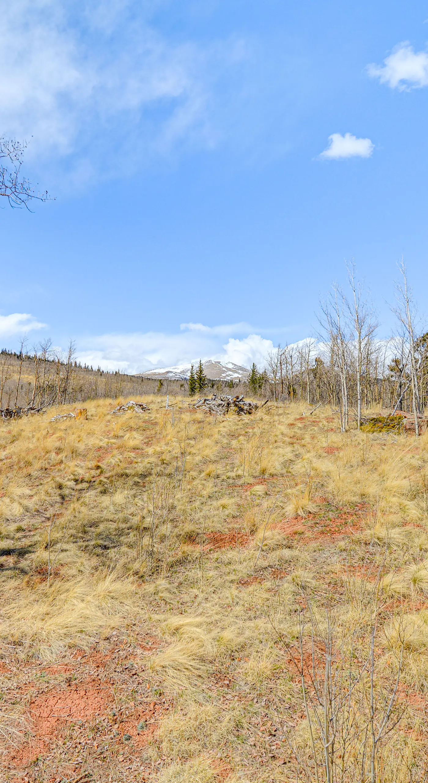 Fairplay Cabin w/ Mtn View ~ 4 Mi to Platte River!