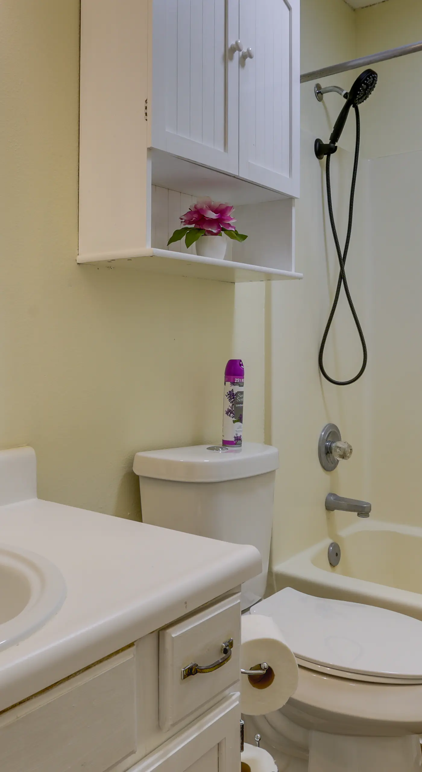 4 Mi to Dtwn: Pet-Friendly Abode in Tallahassee!