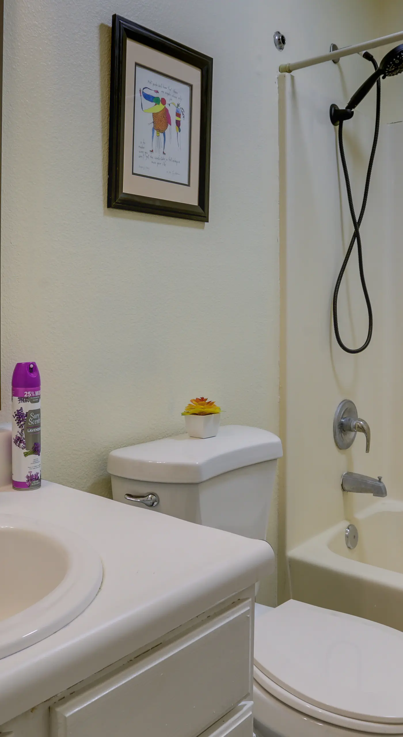 4 Mi to Dtwn: Pet-Friendly Abode in Tallahassee!
