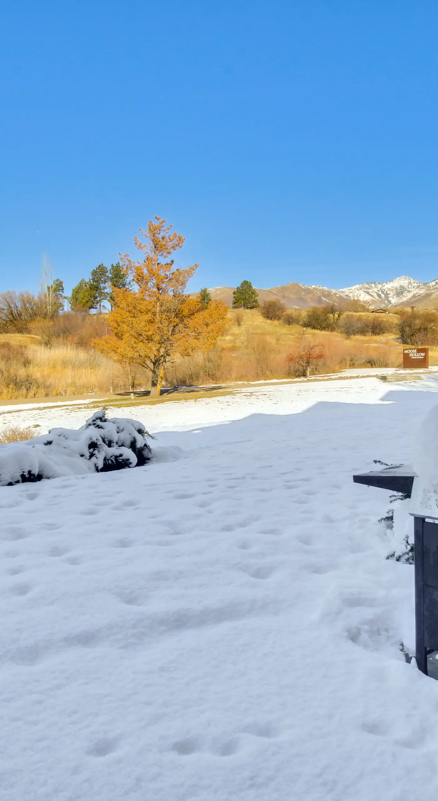 6 Mi to Powder Mtn w/ Shuttle: Cozy Eden Condo!