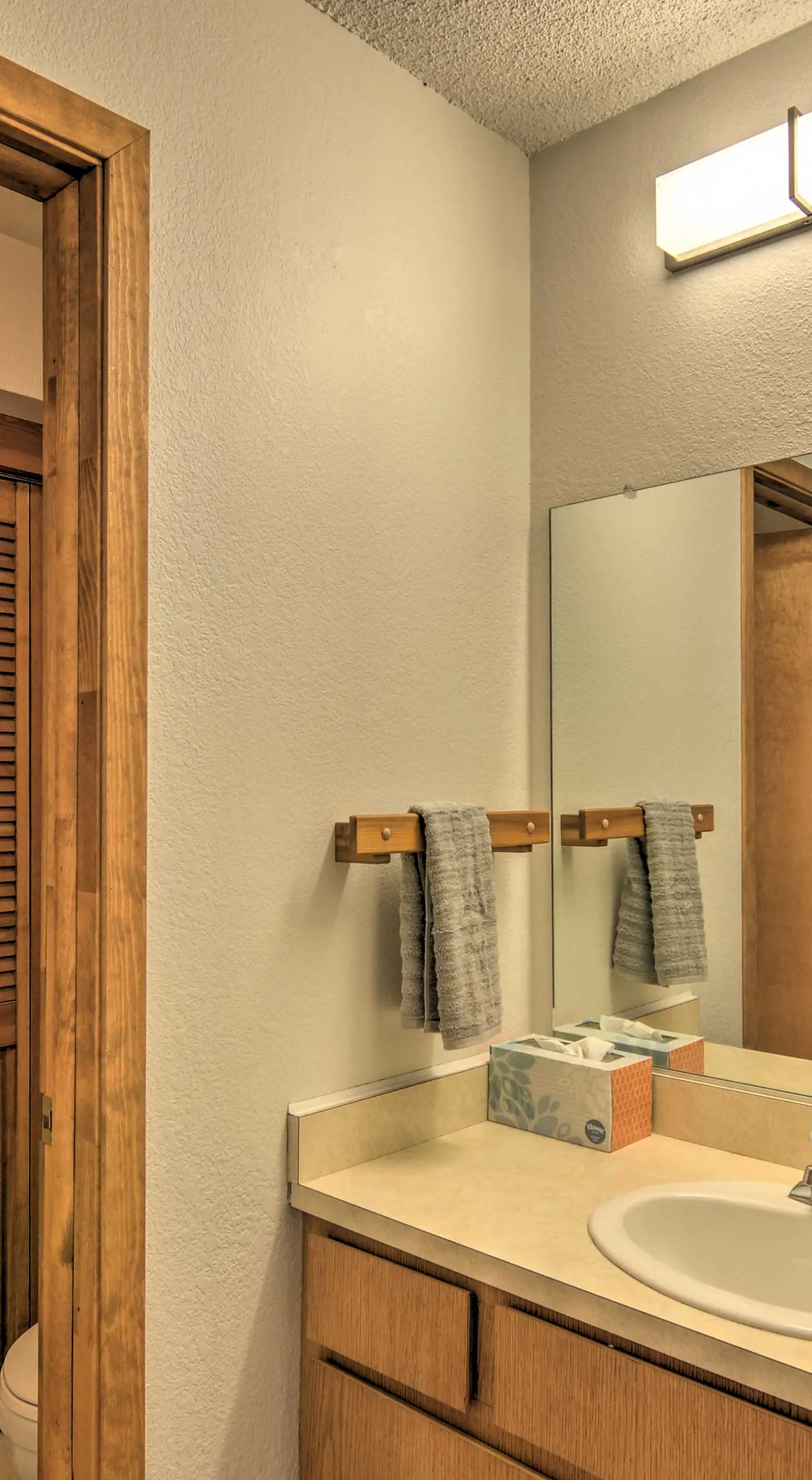 Mountainside Paradise: Ski-In/Ski-Out Resort Condo