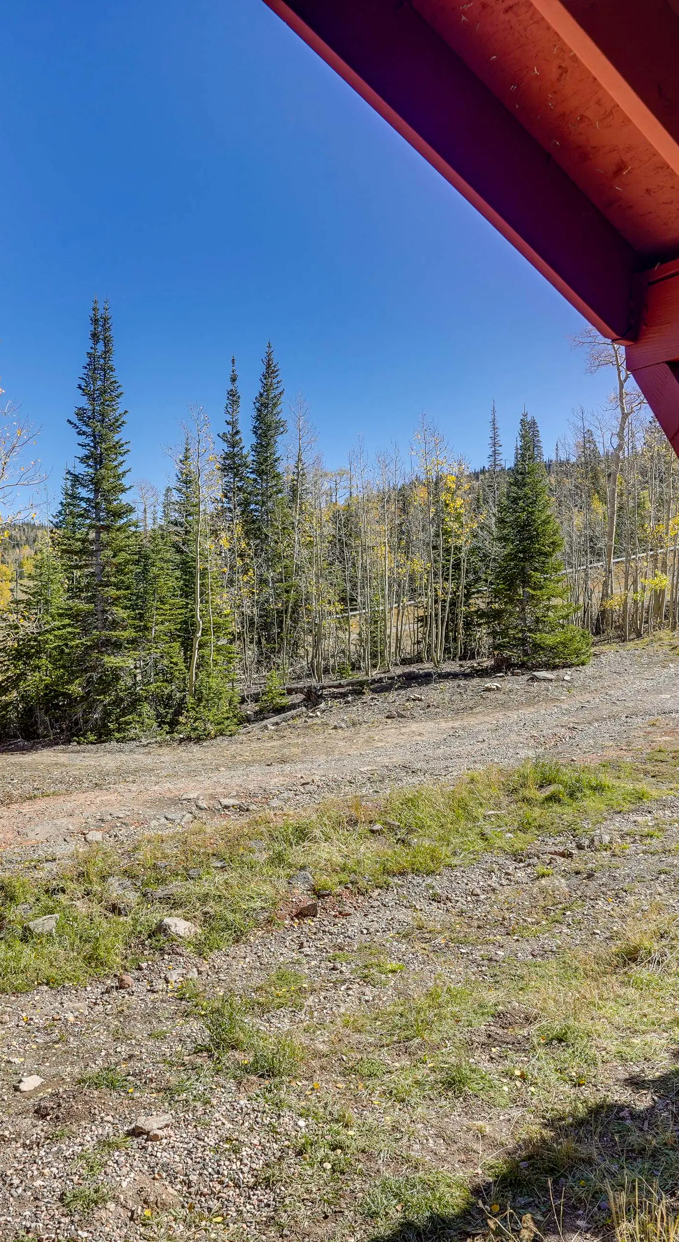 Mountainside Paradise: Ski-In/Ski-Out Resort Condo