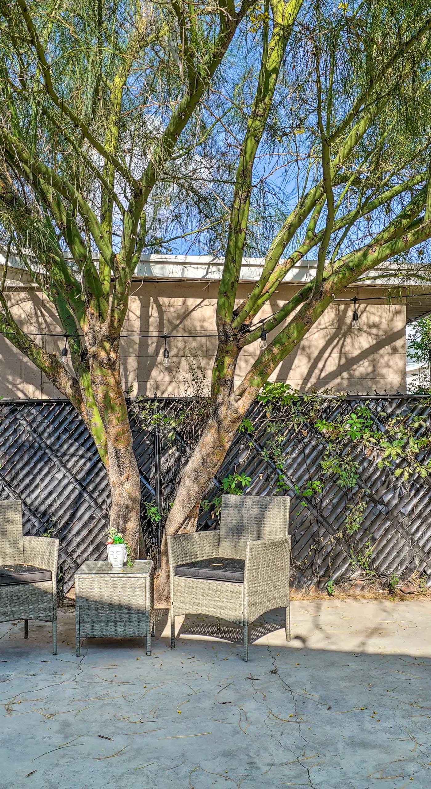 El Paso Cottage - Walk to UMC & Texas Tech!