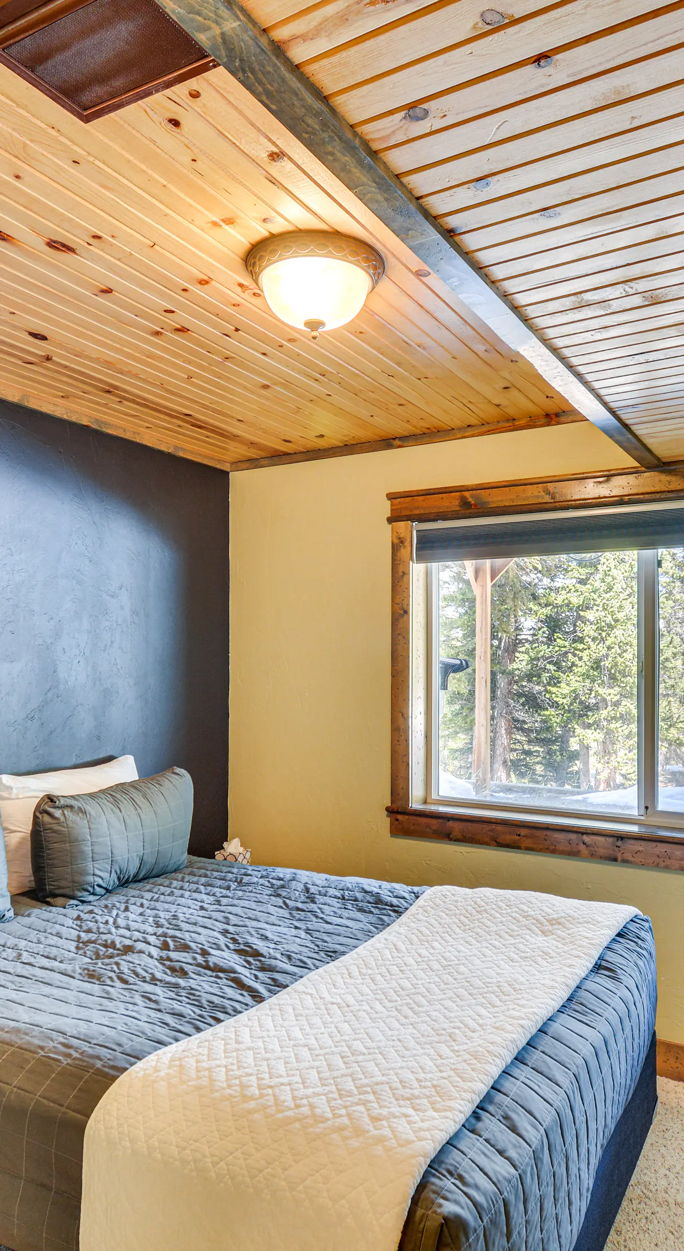 24-0139 Cabin in Fairplay: Close to Trails!
