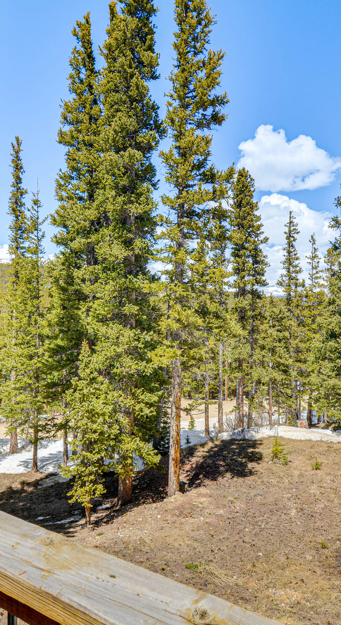 24-0139 Cabin in Fairplay: Close to Trails!