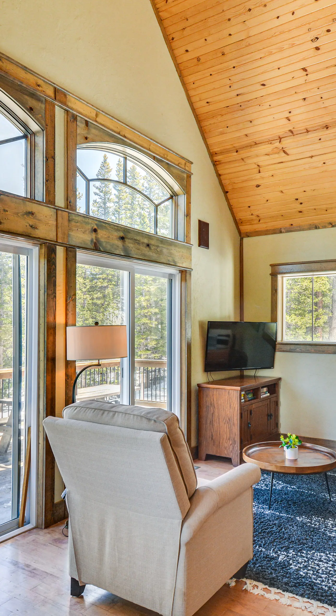 24-0139 Cabin in Fairplay: Close to Trails!