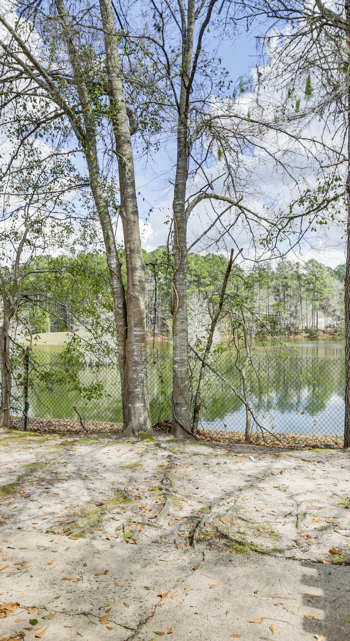 Updated Tallahassee Townhome: 3 Mi to Downtown!