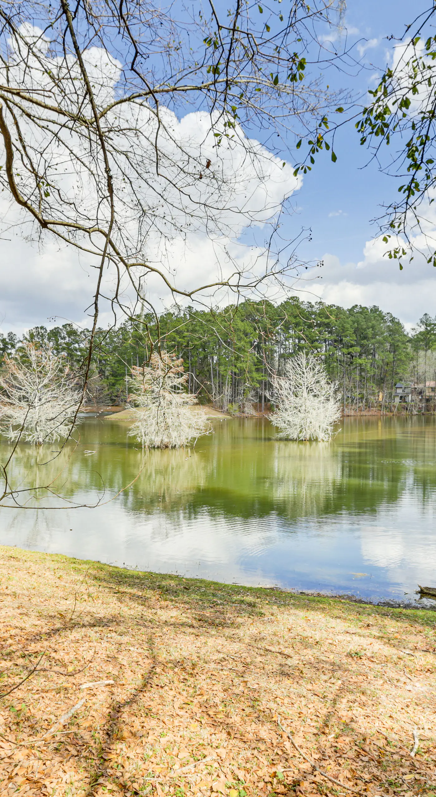 Updated Tallahassee Townhome: 3 Mi to Downtown!