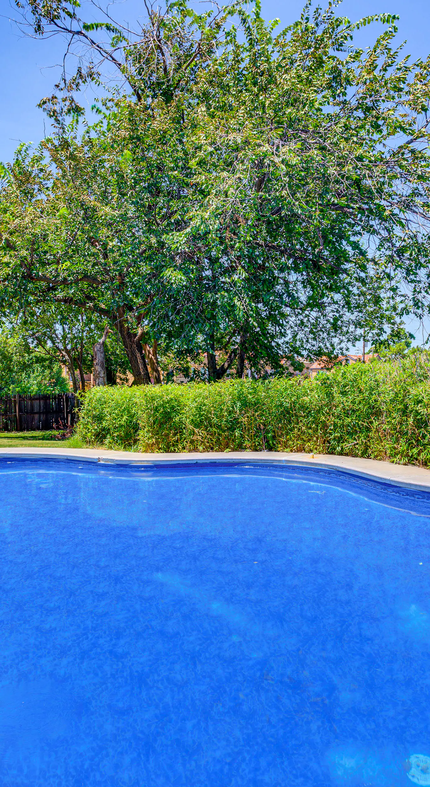 3 Mi to Dtwn OKC: Pet-Friendly Paseo Gem!