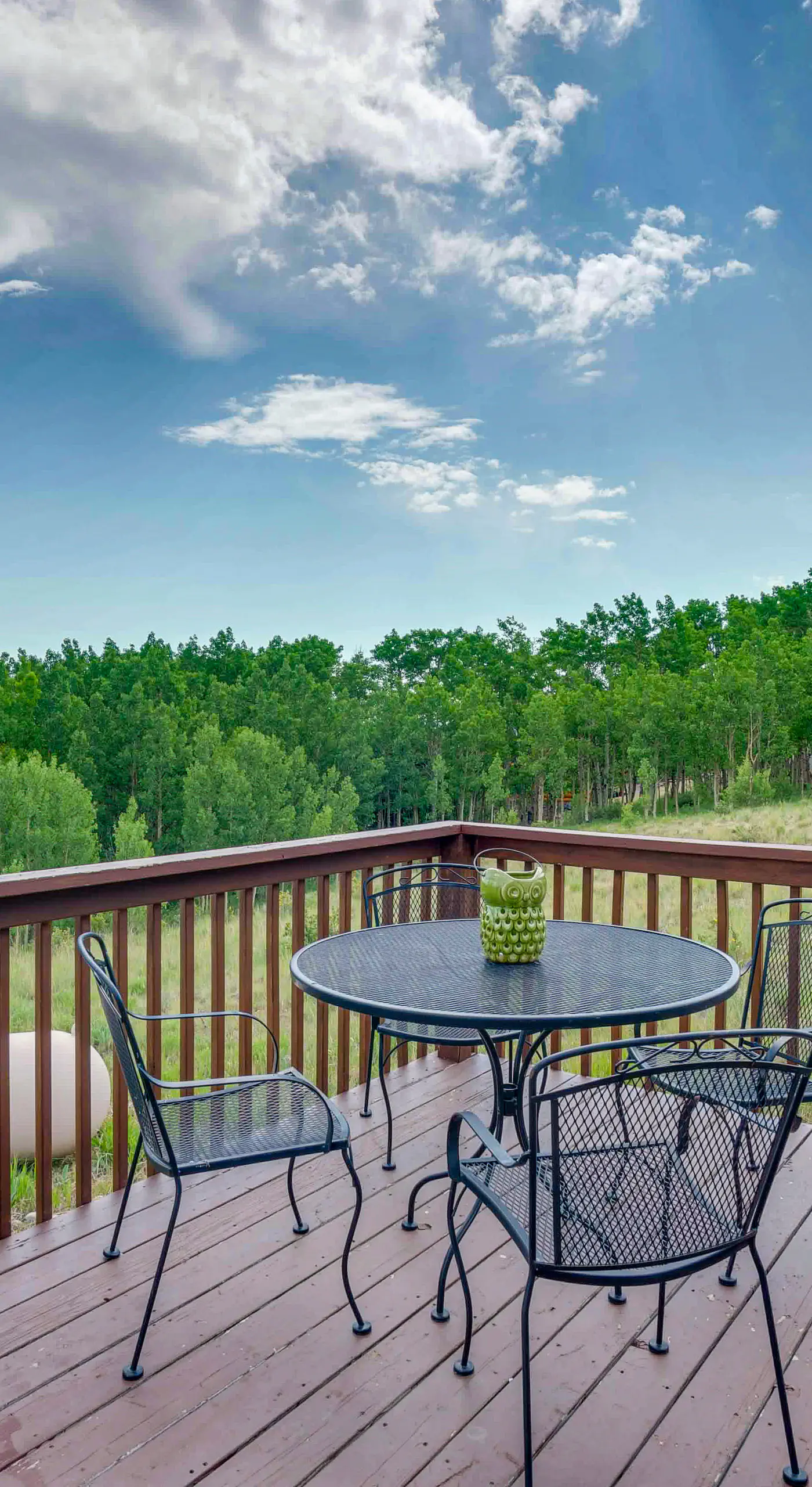 Warm Springs Ranch Mtn View & Deck: Fairplay Cabin