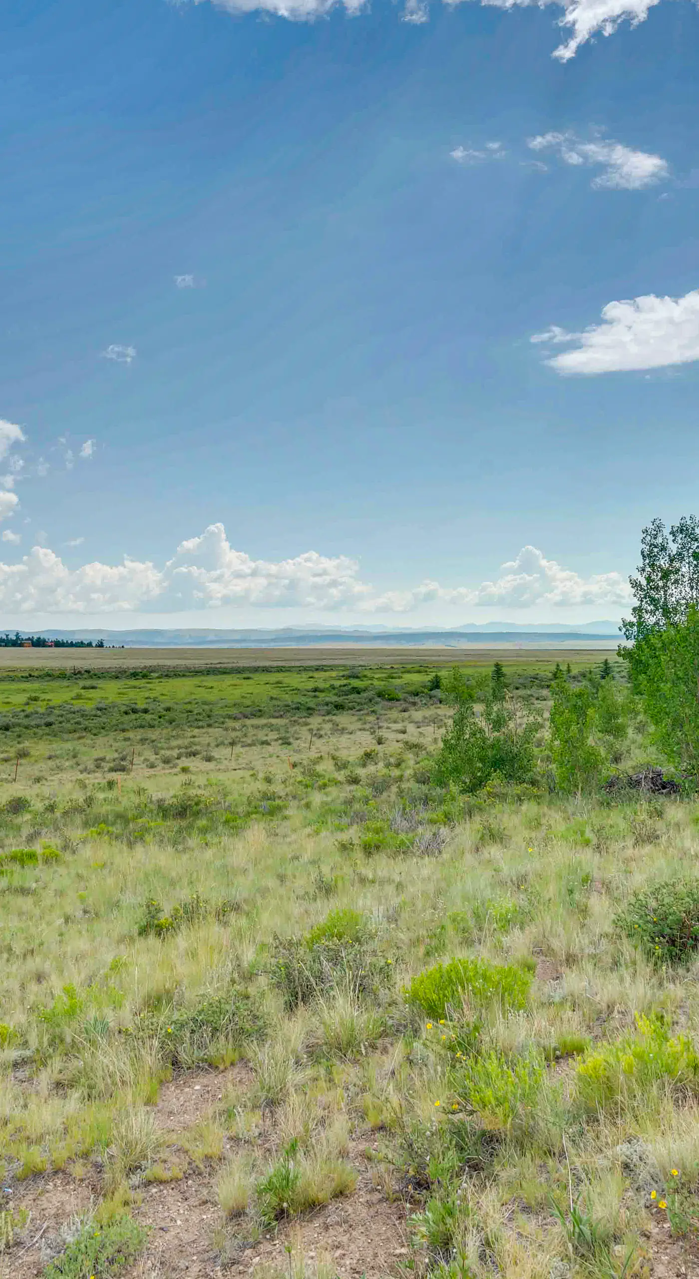 Warm Springs Ranch Mtn View & Deck: Fairplay Cabin
