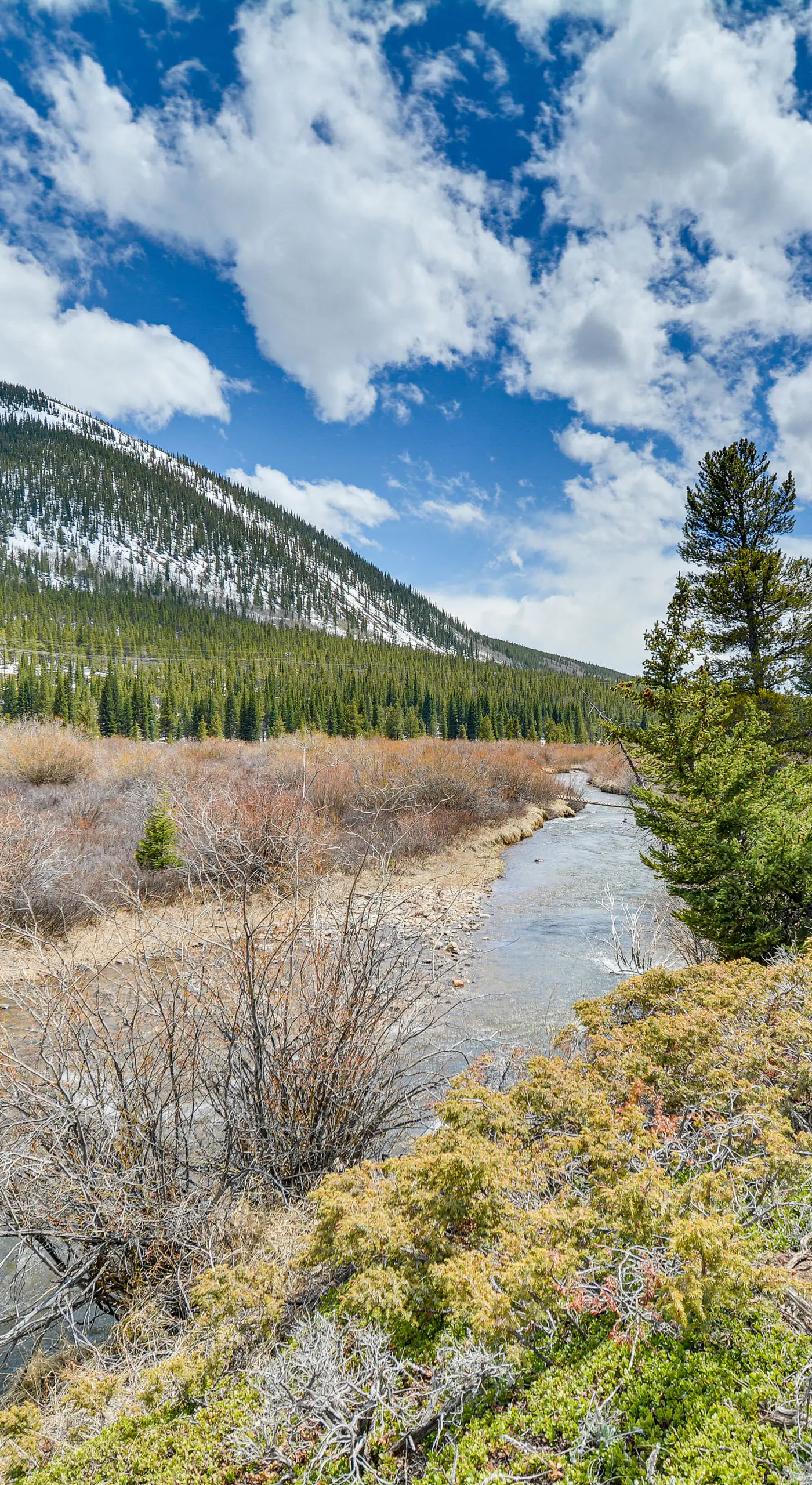 4 Mi to Dtwn: Leadville Retreat w/ Hot Tub!